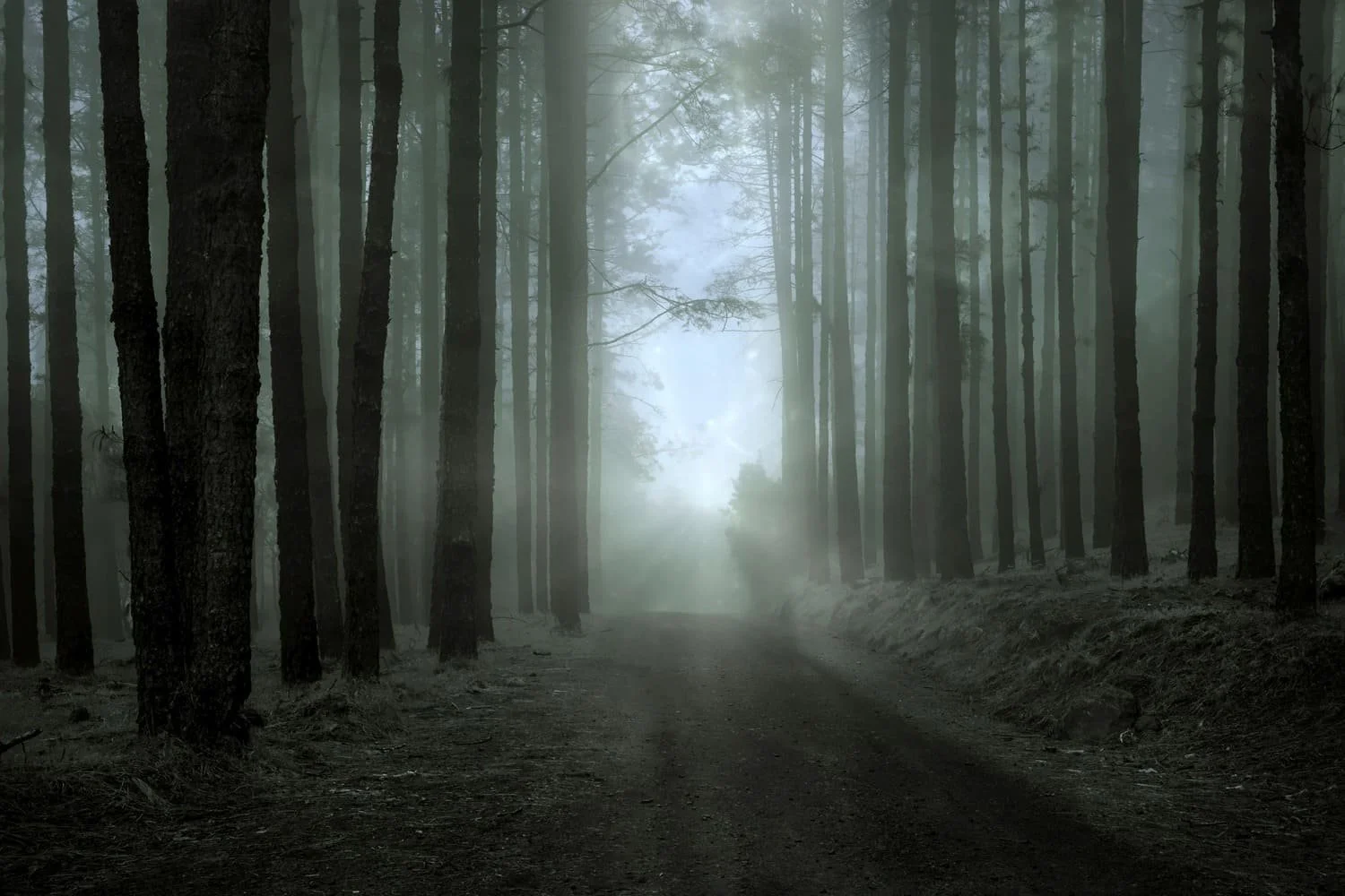 Médiumnité, voyance et divination en Bretagne