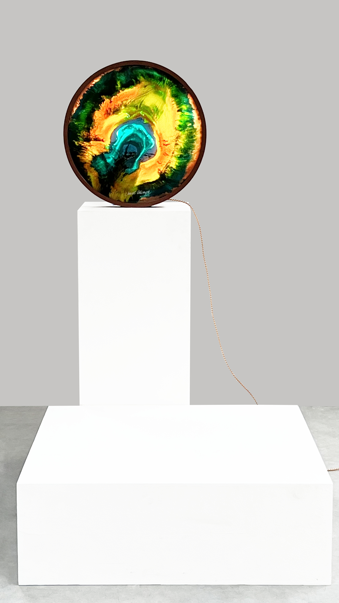 Peacock_003.png