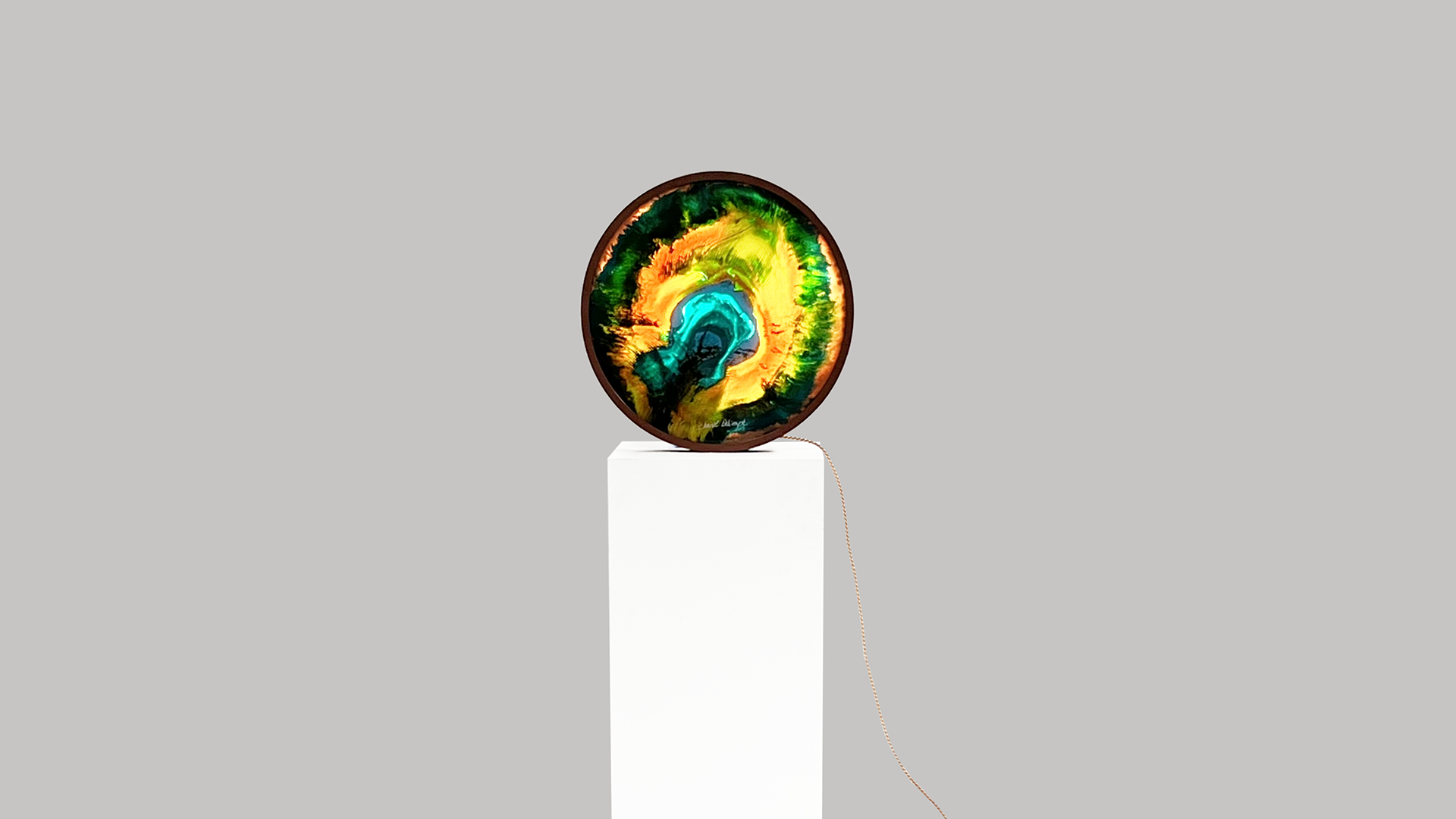 PEACOCK - Christl Dekimpe