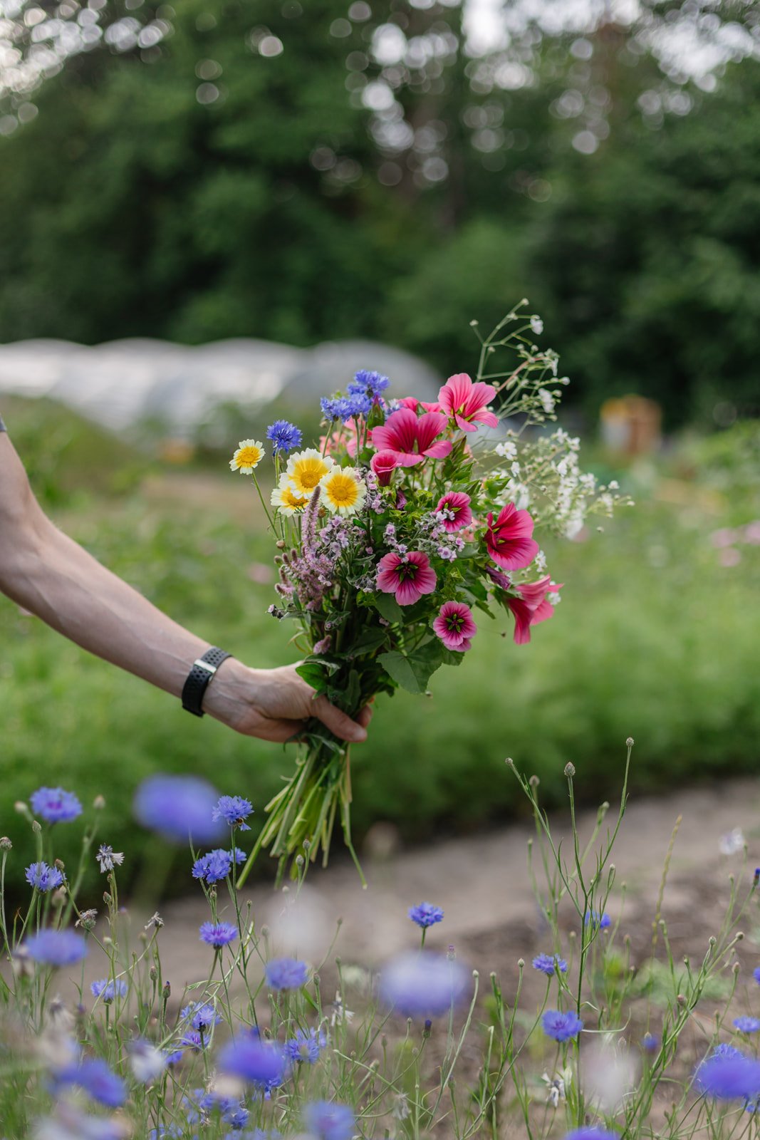 plukbon weder biologische bloemenboerderij