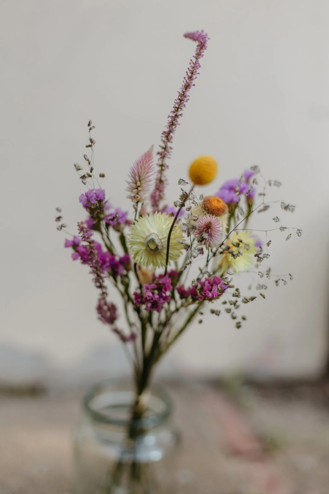 wederdroogbloemen-40.jpg