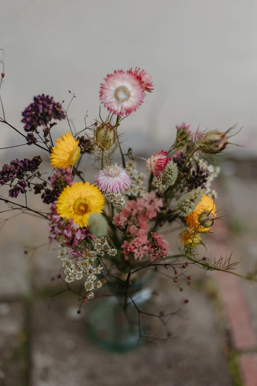 wederdroogbloemen-34.jpg