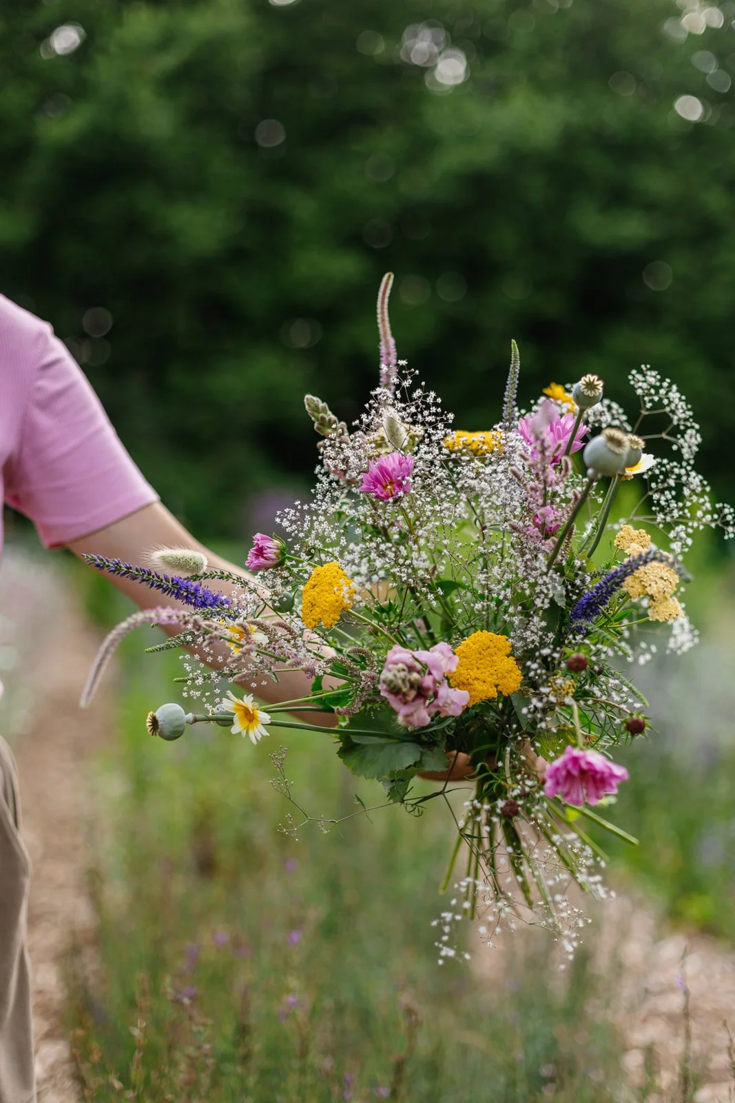 zelfpluk abonnement weder biologische bloemenboerderij