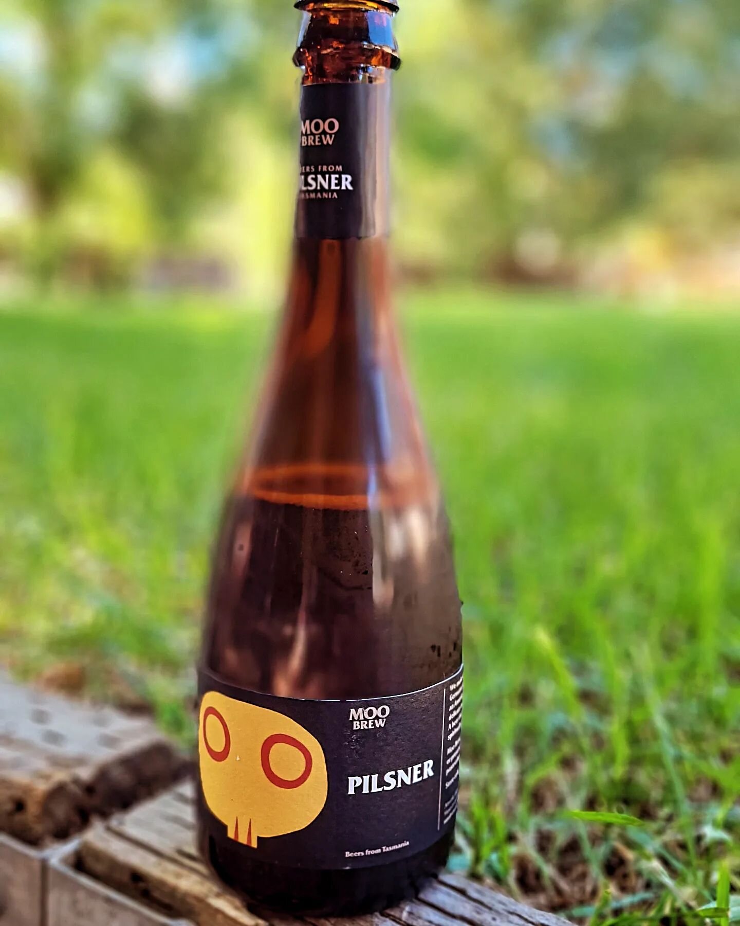 One of Australia's legendary indie Pilsners.
@moobrewbrewery ... cheers!