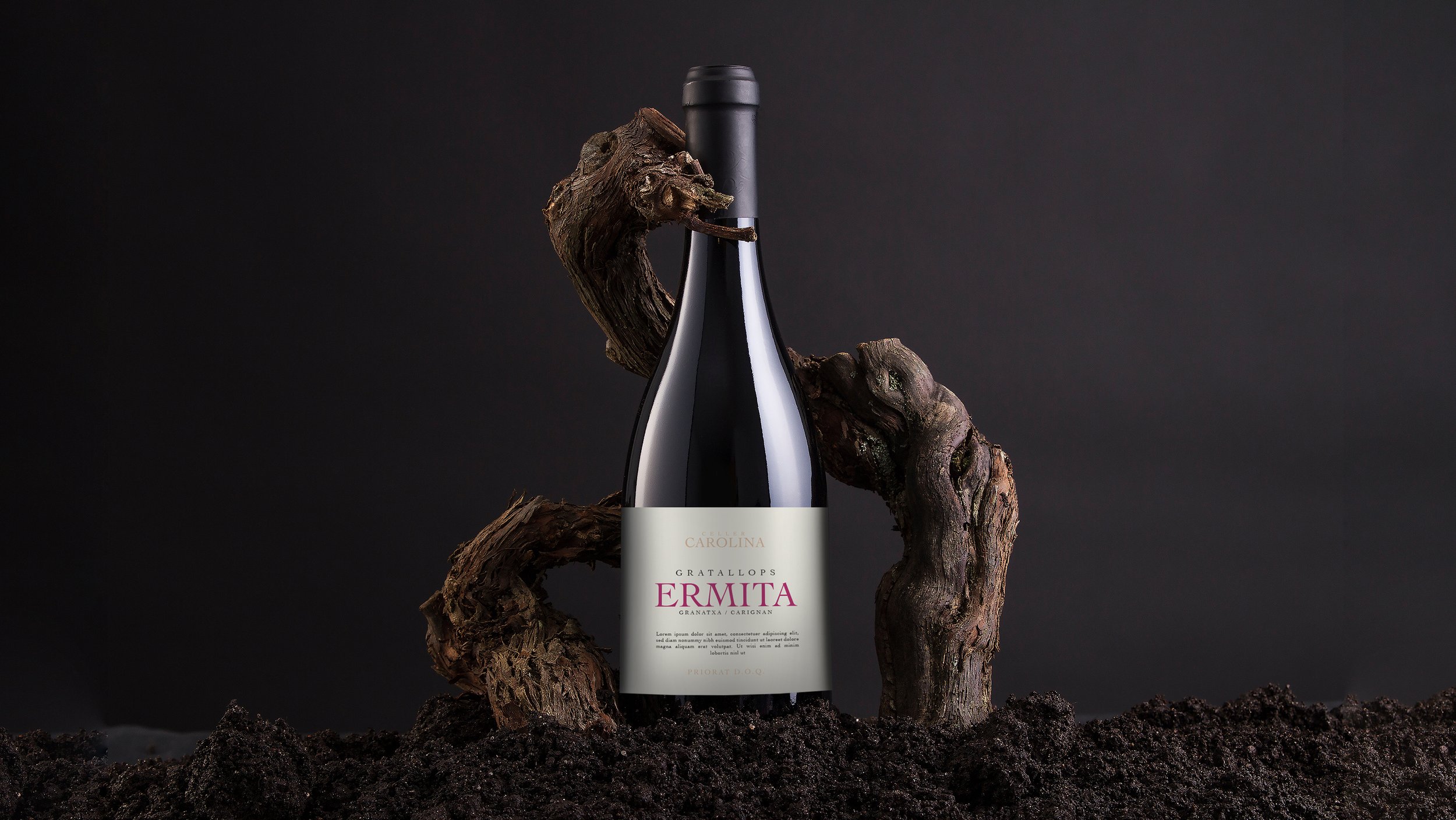 priorat_wine_1.jpg