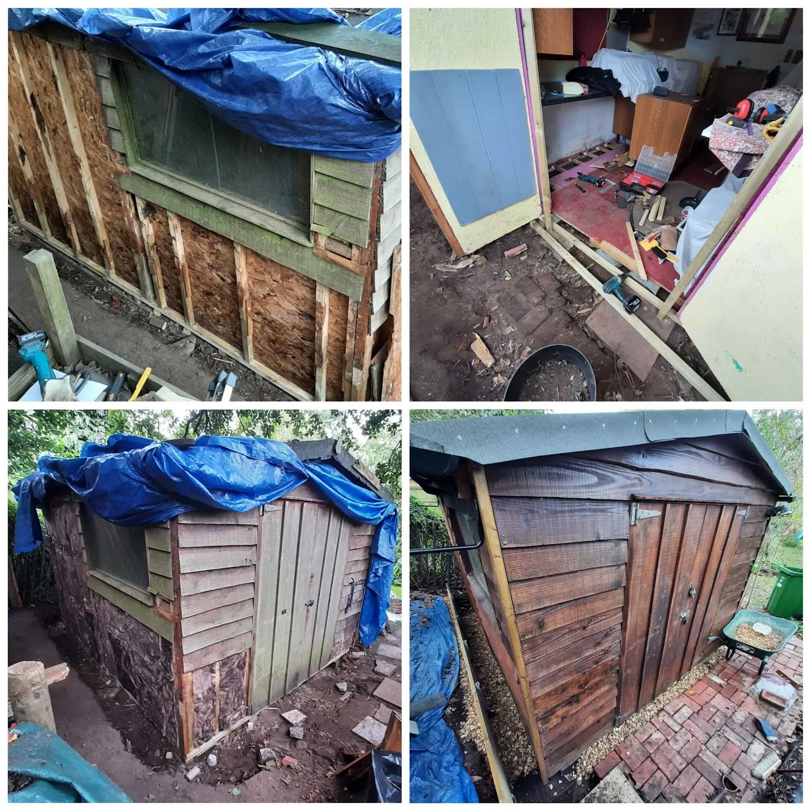 A collage showing the stages of renovating a wooden shed, including removing panels, replacing insulation and installing new cladding.