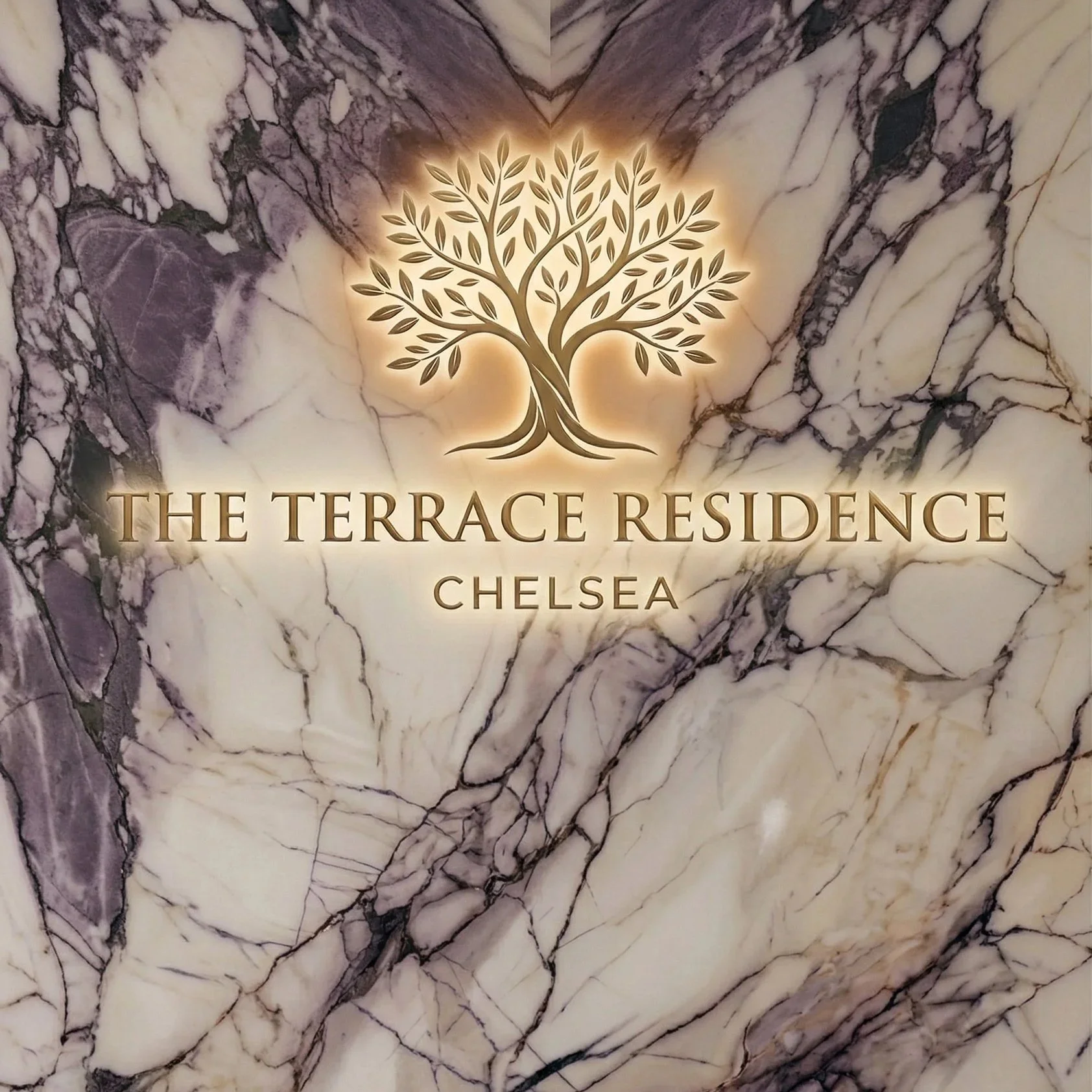 The Terrace Residence
