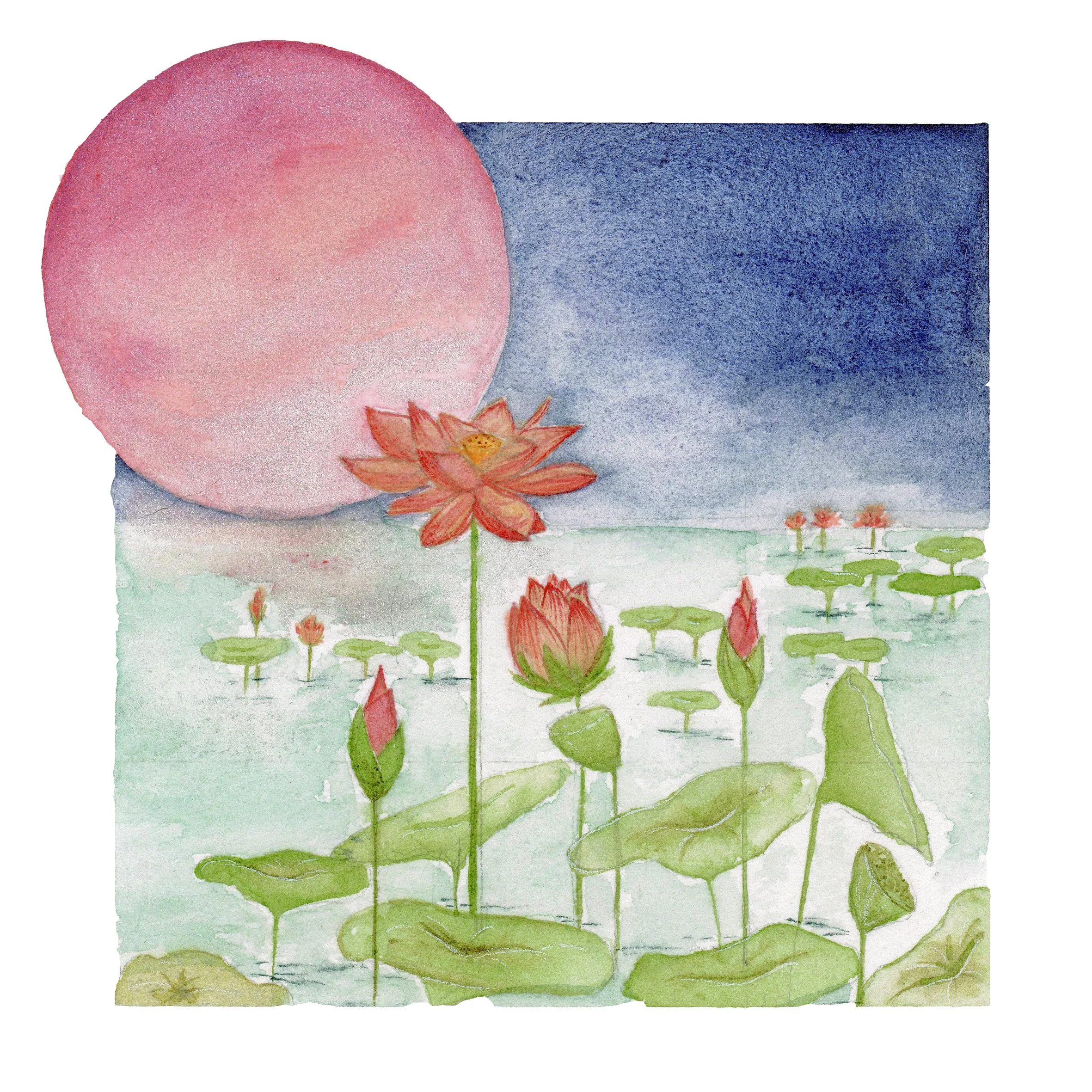 LOTUS_PINK_MOON copy.jpg