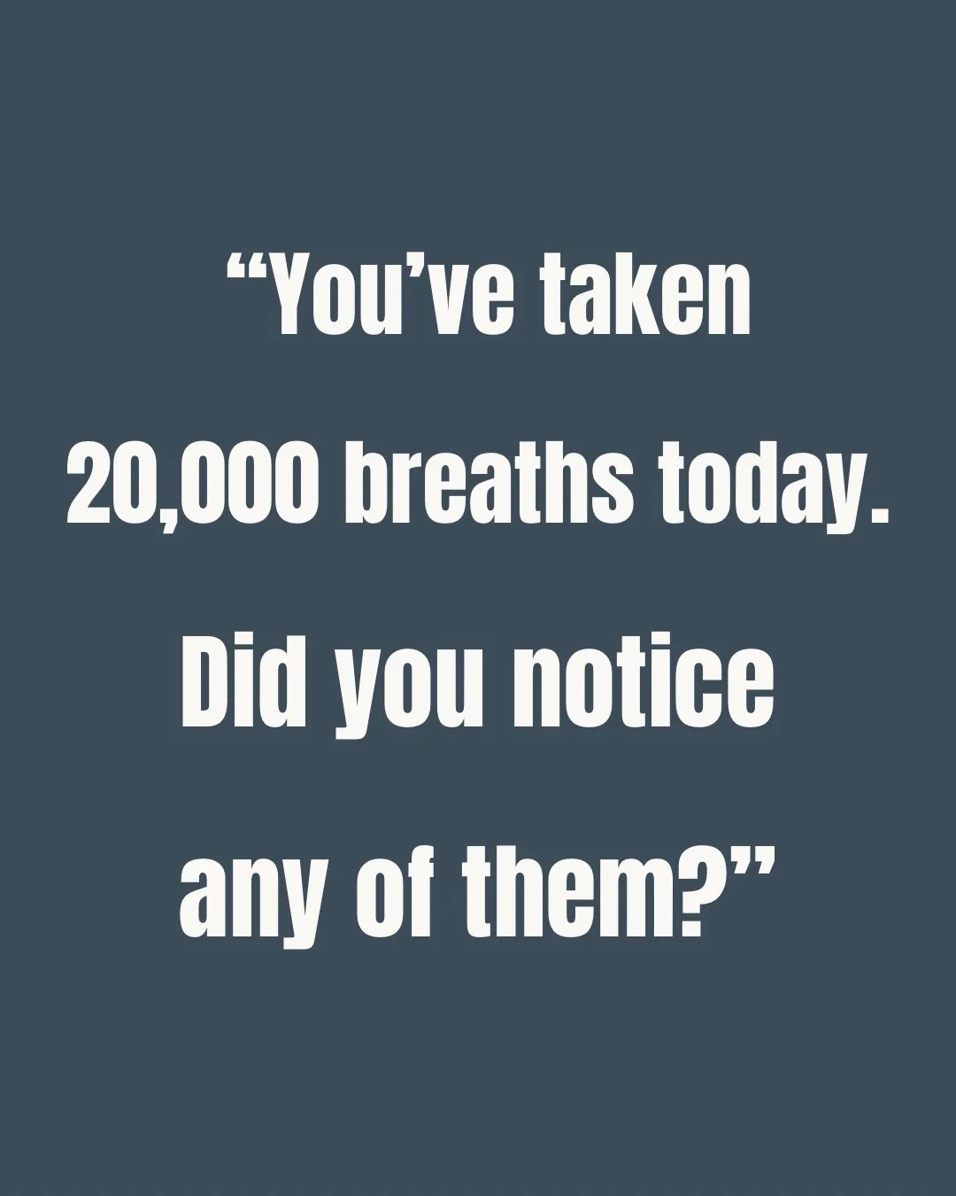 Day 2: Breathing

Somewhere between your morning coffee and your evening collapse, you&rsquo;ve probably taken about 20,000 breaths today.

How many of them did you actually notice?

The breath is always here, quietly doing its work whether we pay at