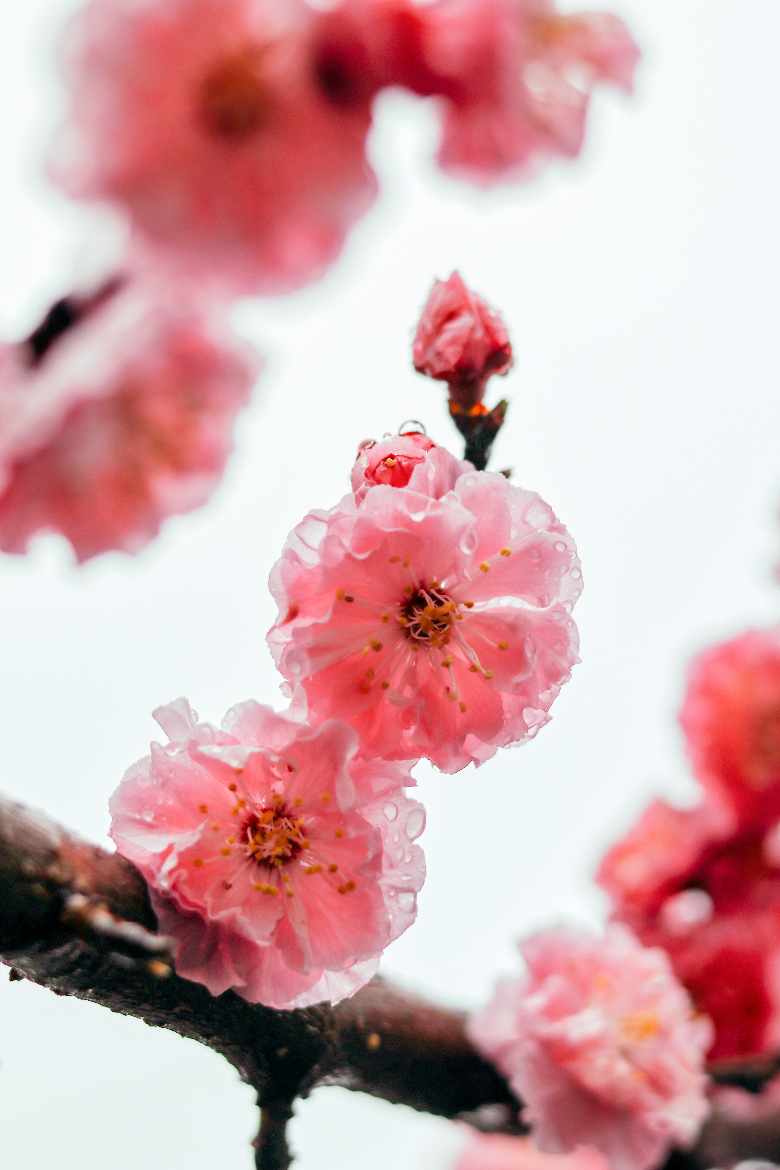 jei-lee-AlAyivDxKhU-unsplash.jpg