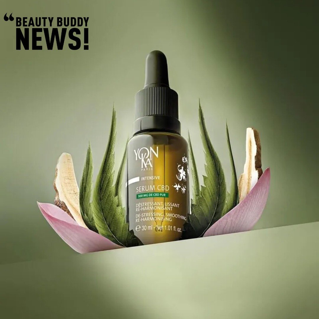 @yonkafr introduces a Serum CBD, addressing aging due to stress and sleep issues. Infused with 300mg CBD and botanicals like lotus flower and reishi mushroom, it's enhanced with lavender, chamomile, and neroli oils for a calming ritual promoting rest