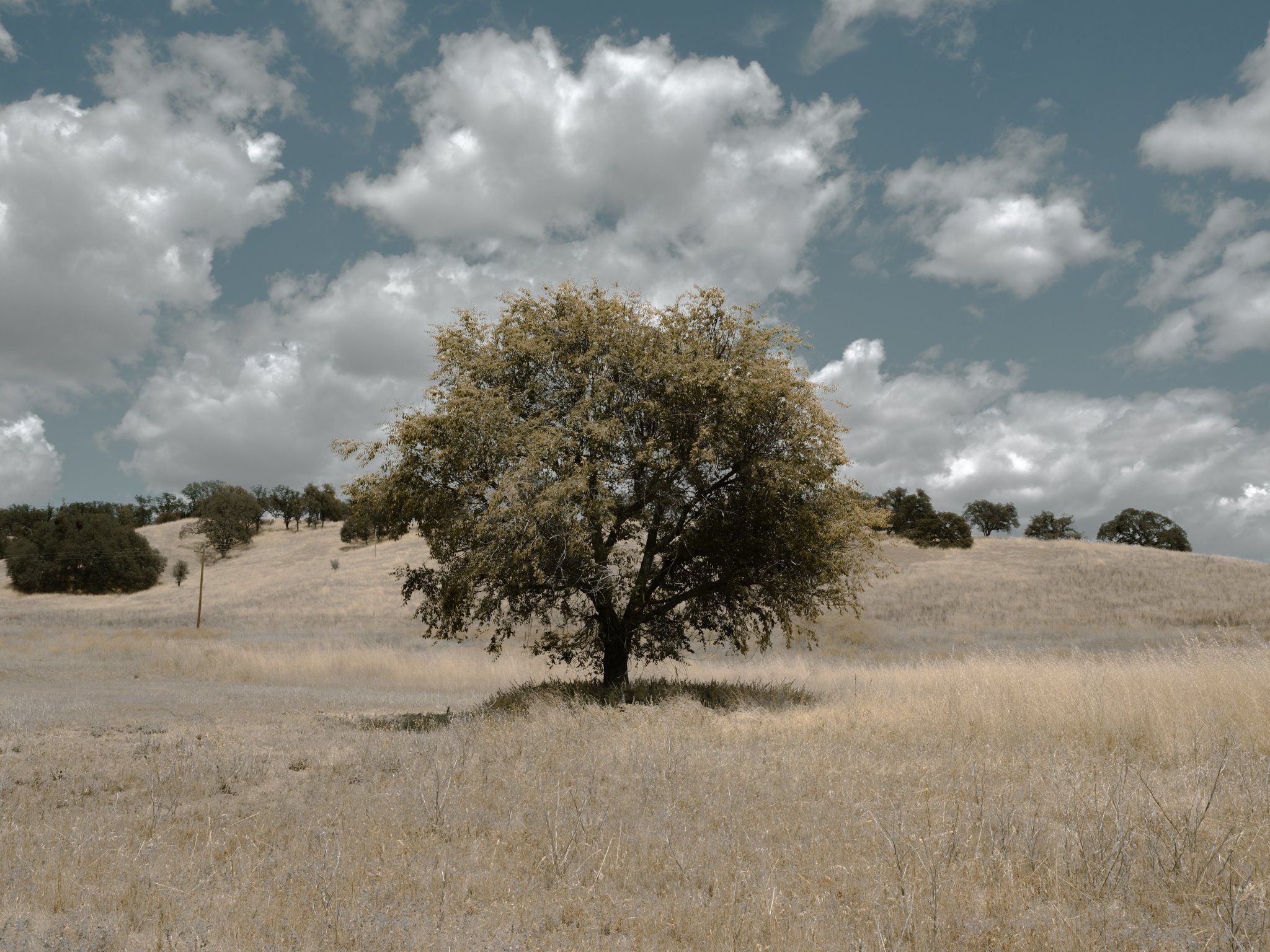 DSCF1549.jpg