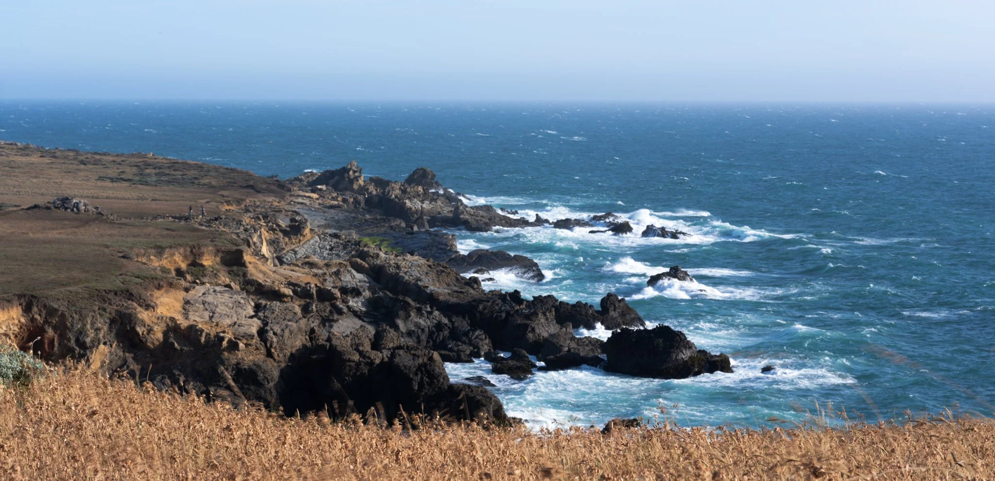 Salt Point Bluffs - California Coast