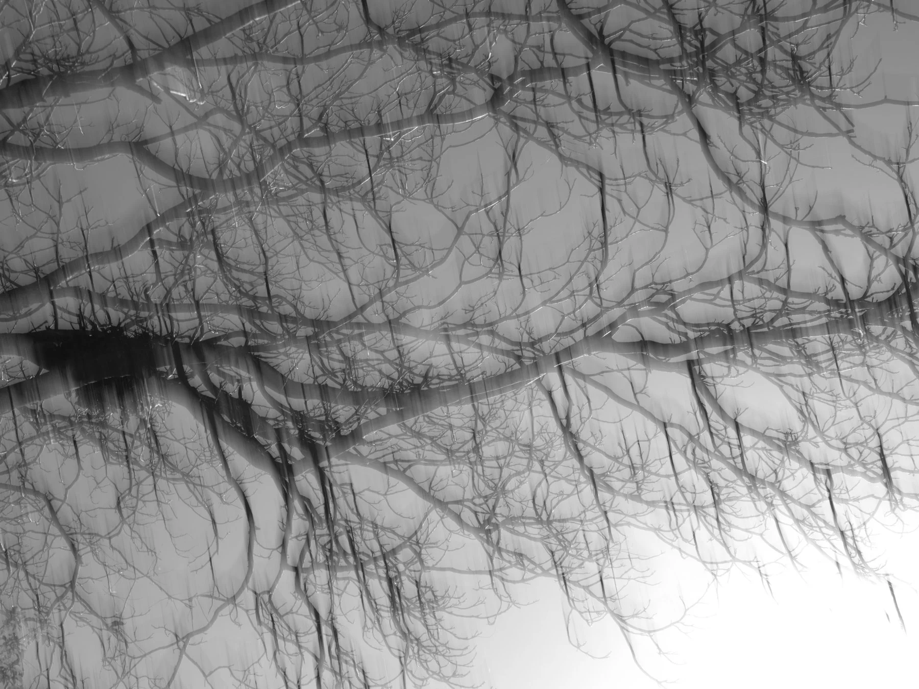 Derek in the RAW 3.23-38.jpg