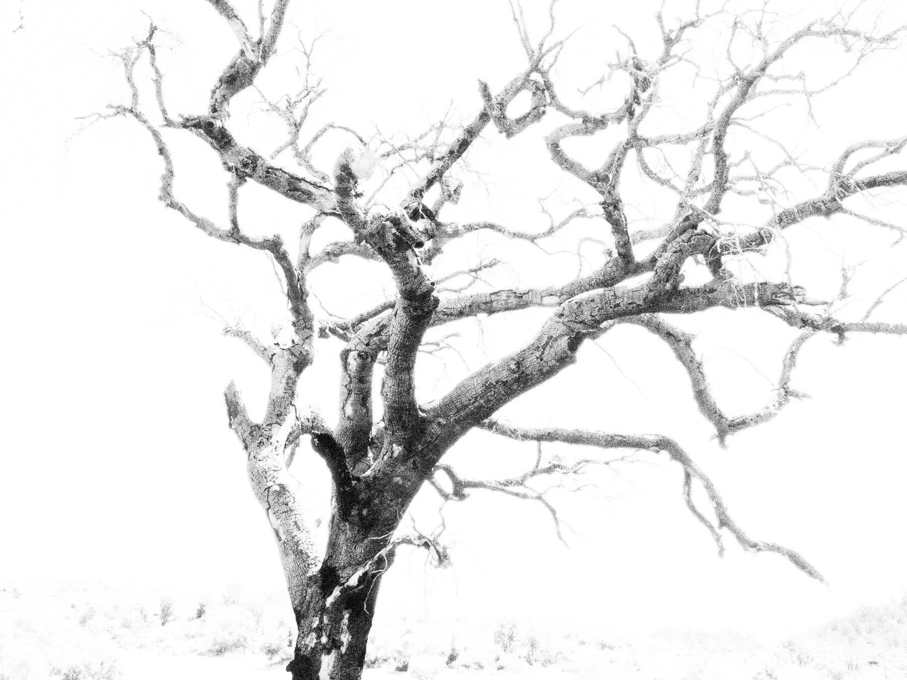 Derek in the RAW 3.23-2.jpg