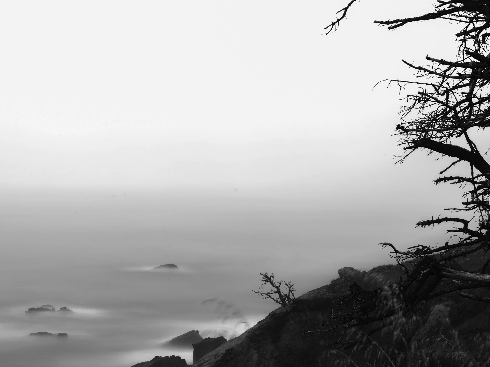 Salt Point B&W - California Coast