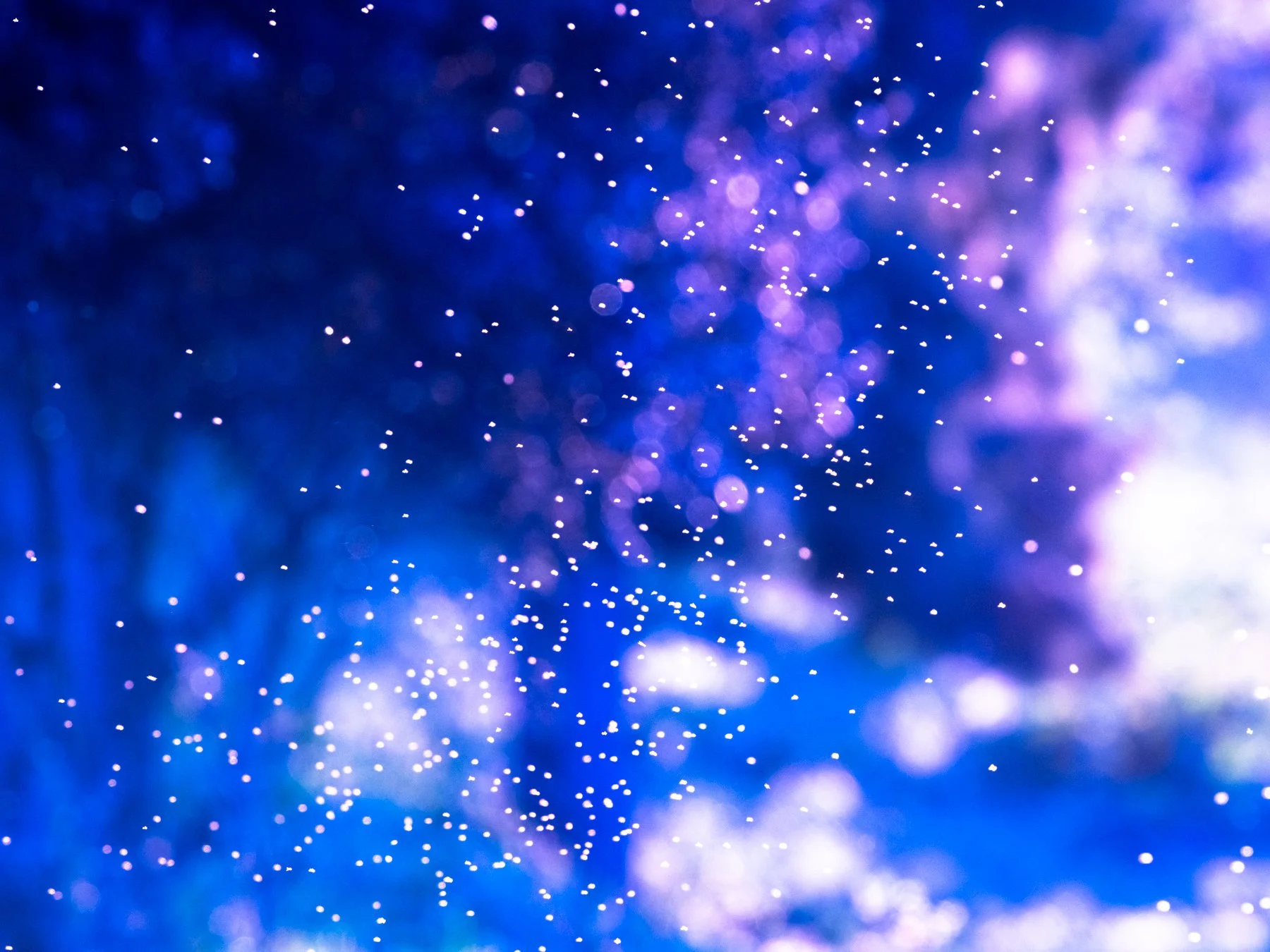 Derek in the RAW 3.16-5.jpg