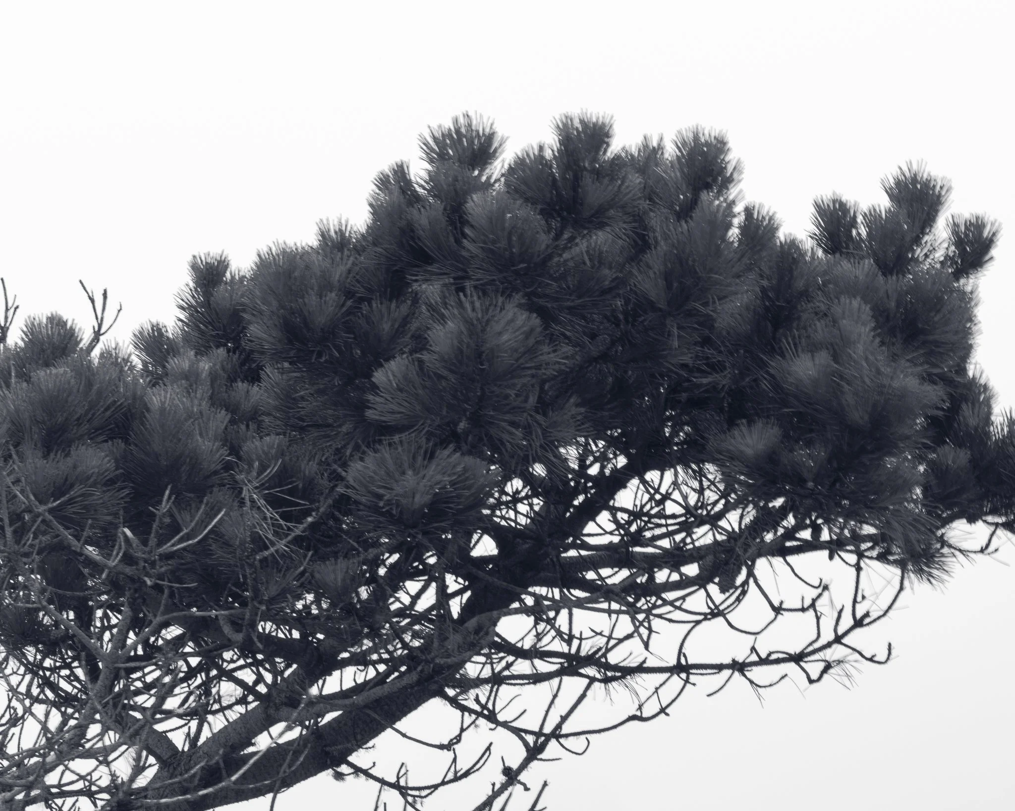 DSCF3867-Edit.jpg