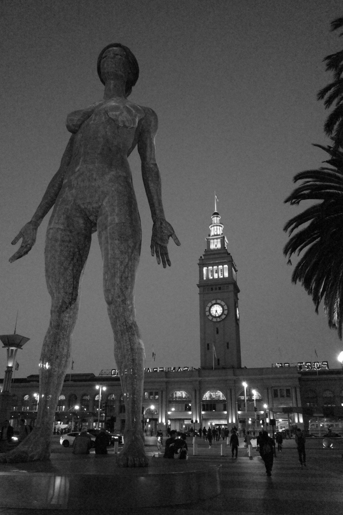 Derek in the RAW-3.jpg