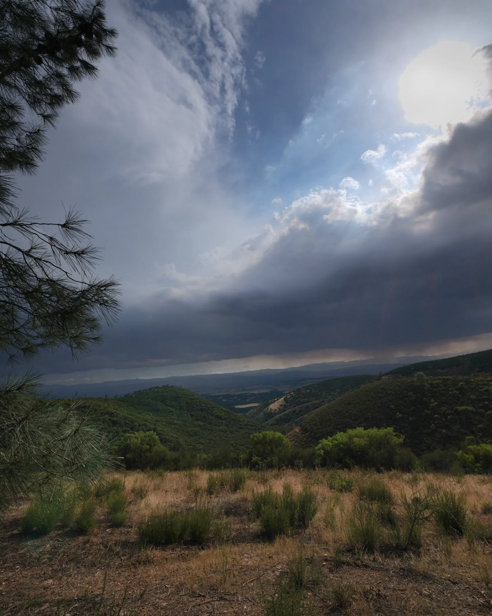 DSCF1718.jpg