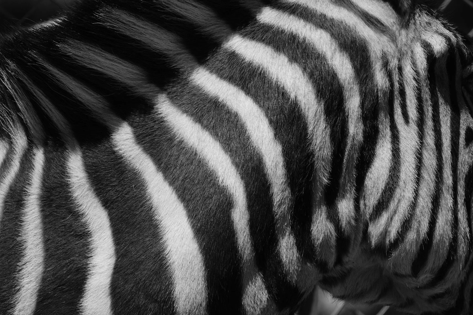 Derek in the RAW-52.jpg