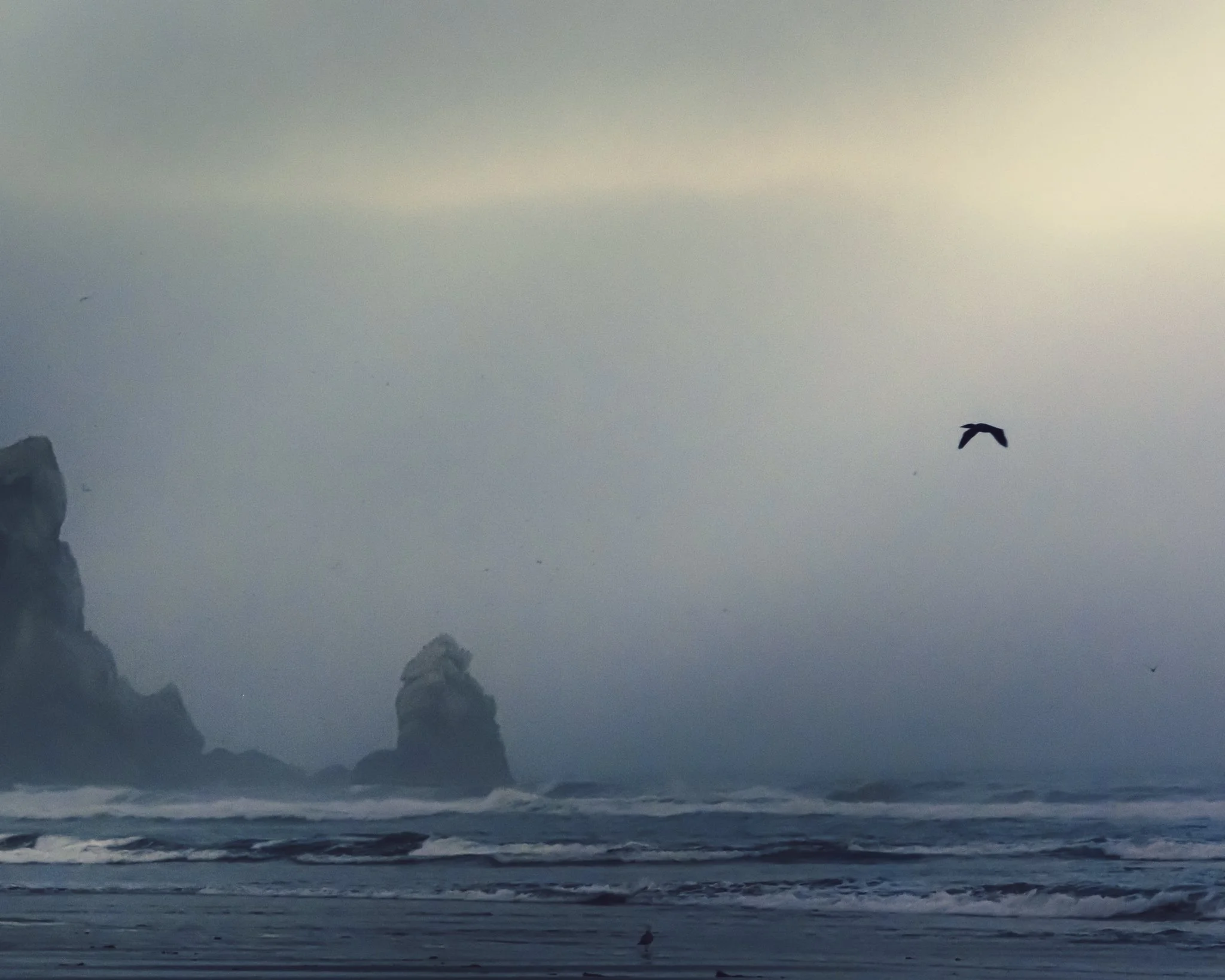 DSCF2635-Edit.jpg