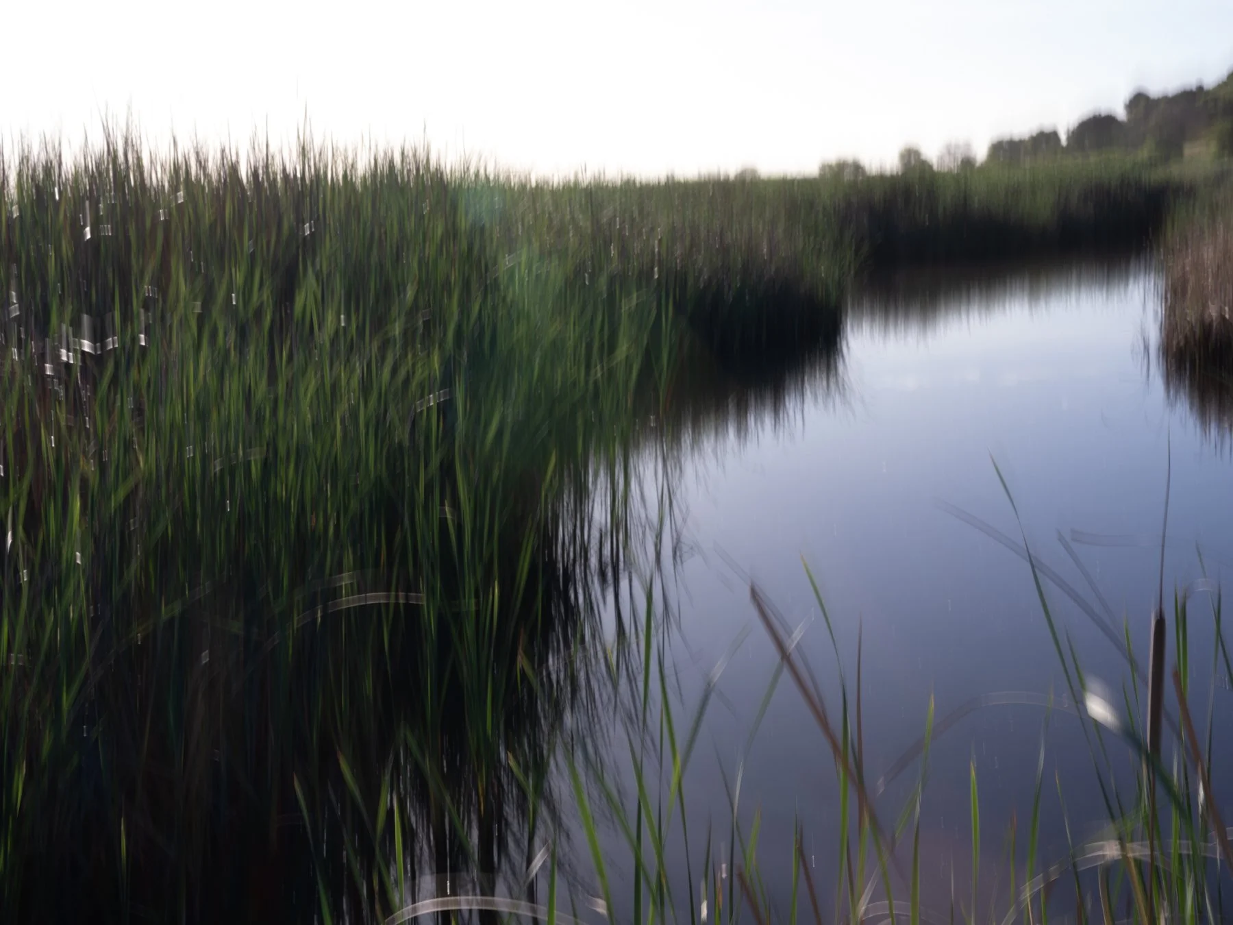 Derek in the RAW 3.23.jpg