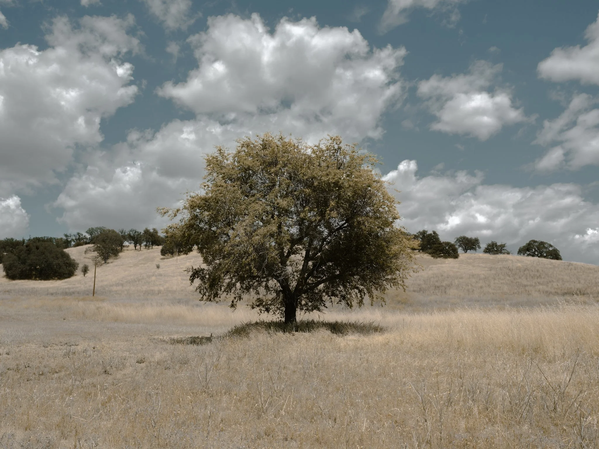 DSCF1549.jpg