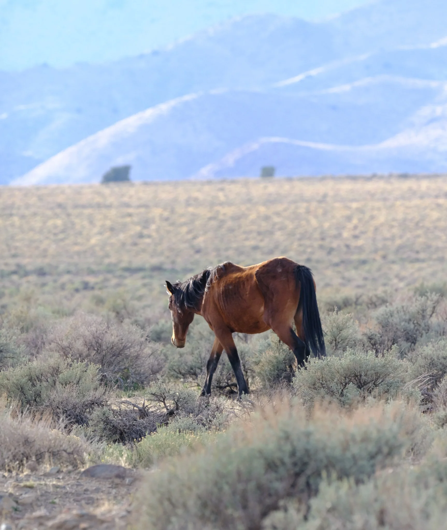 DSCF2859.jpg