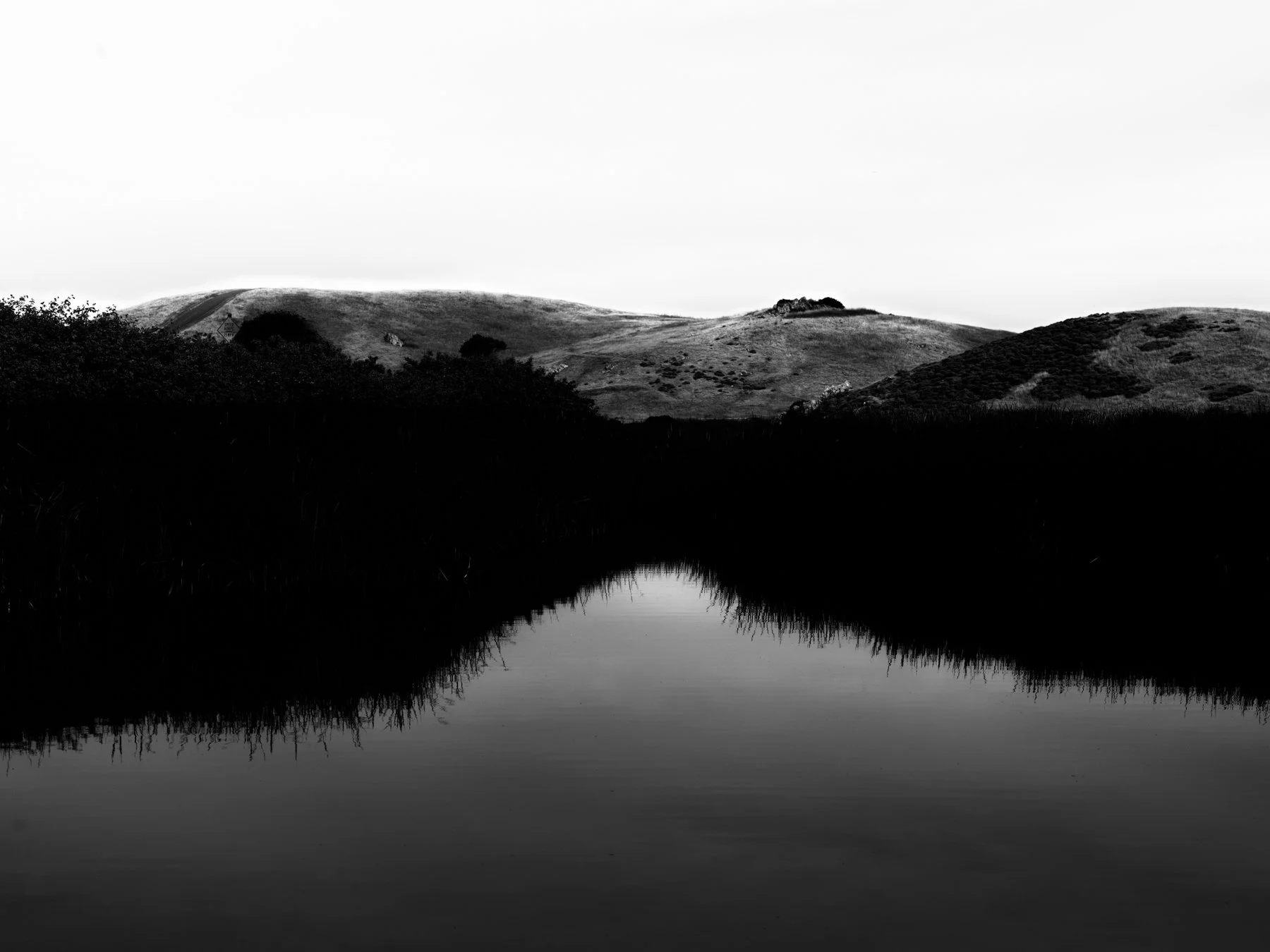 DSCF7713.jpg