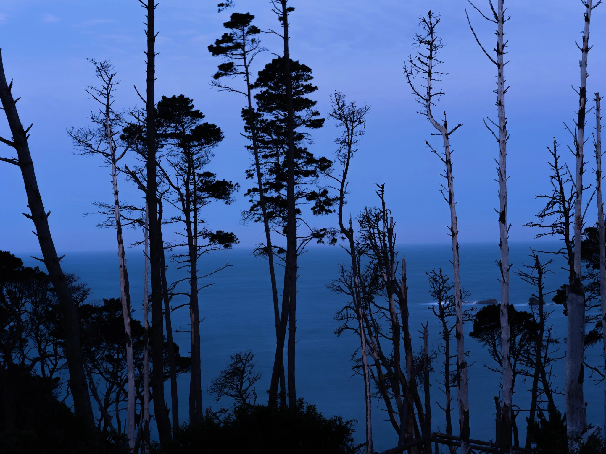 DSCF3740.jpg