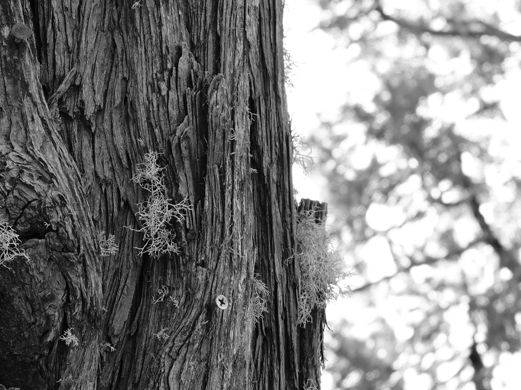 Derek in the RAW 3.23.jpg