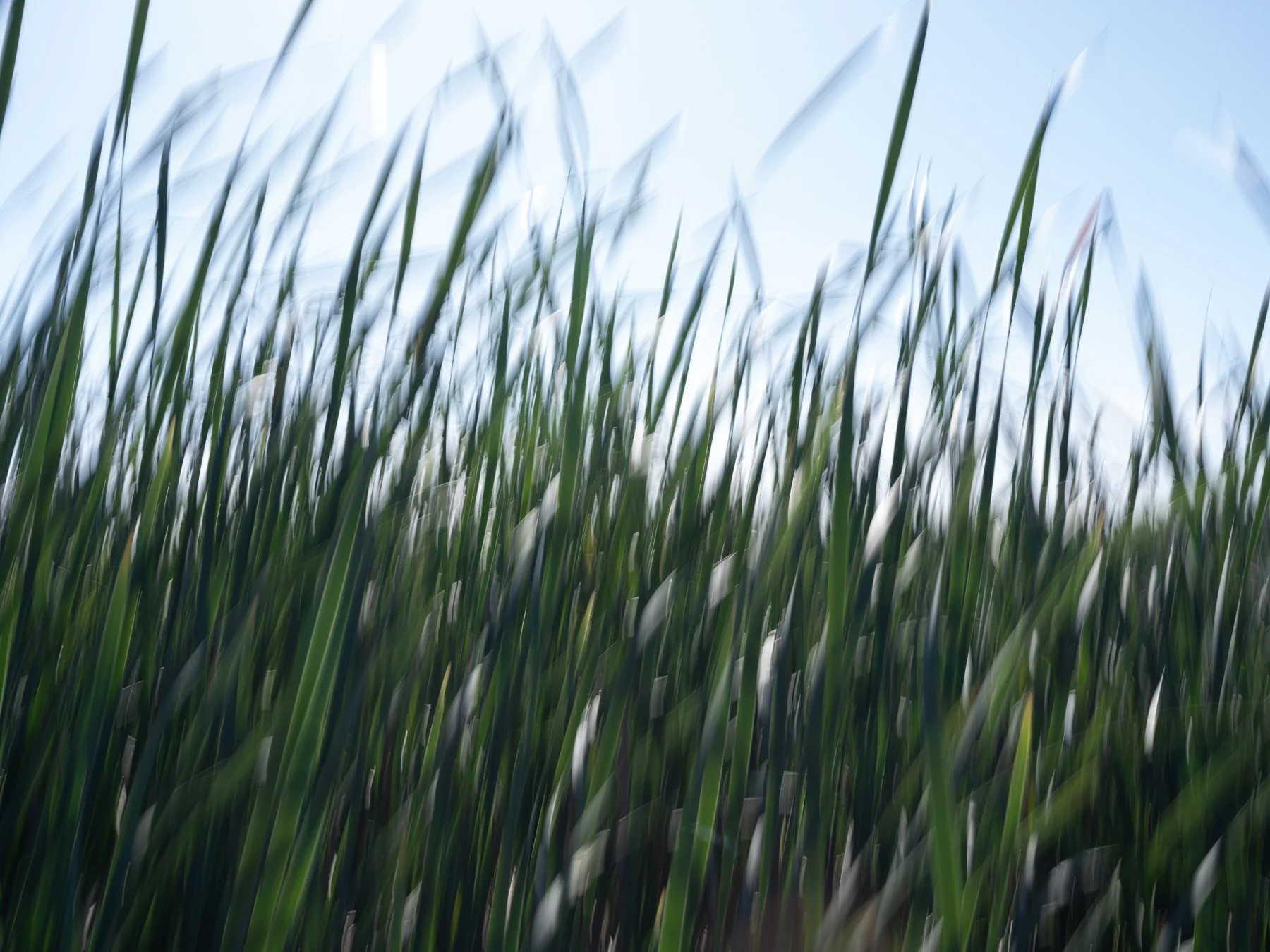 Derek in the RAW 3.23-69.jpg