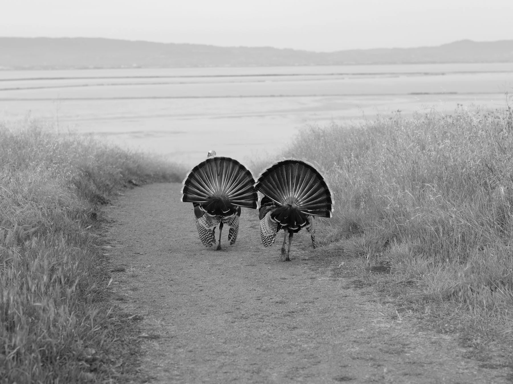 DSCF7657.jpg
