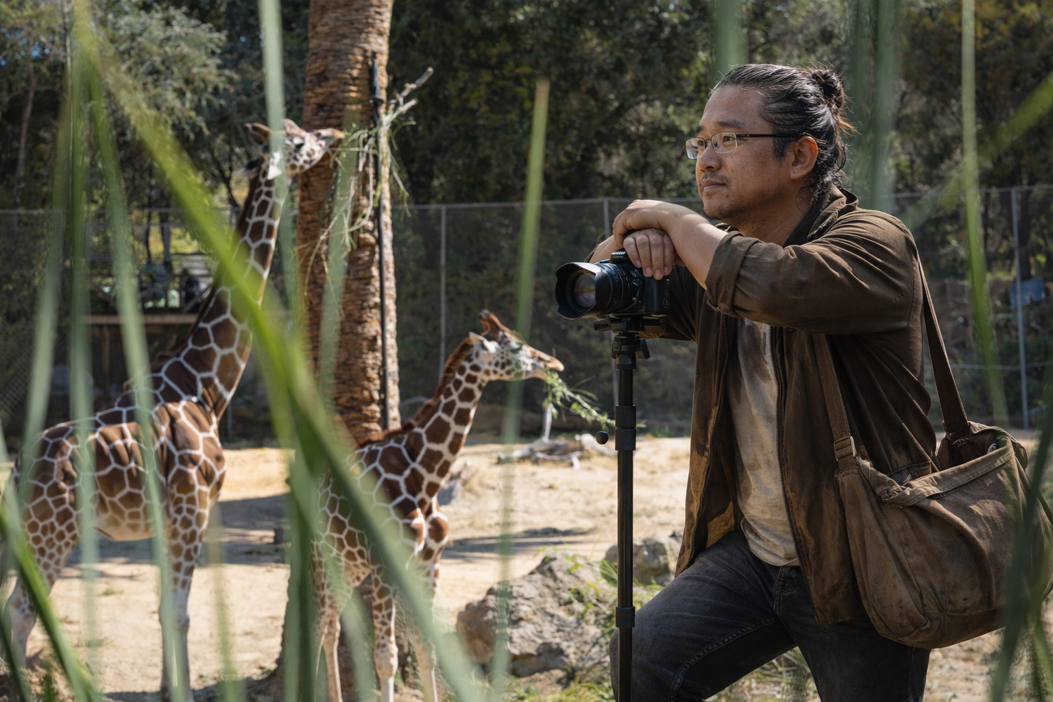 10 The Sheepherder.png