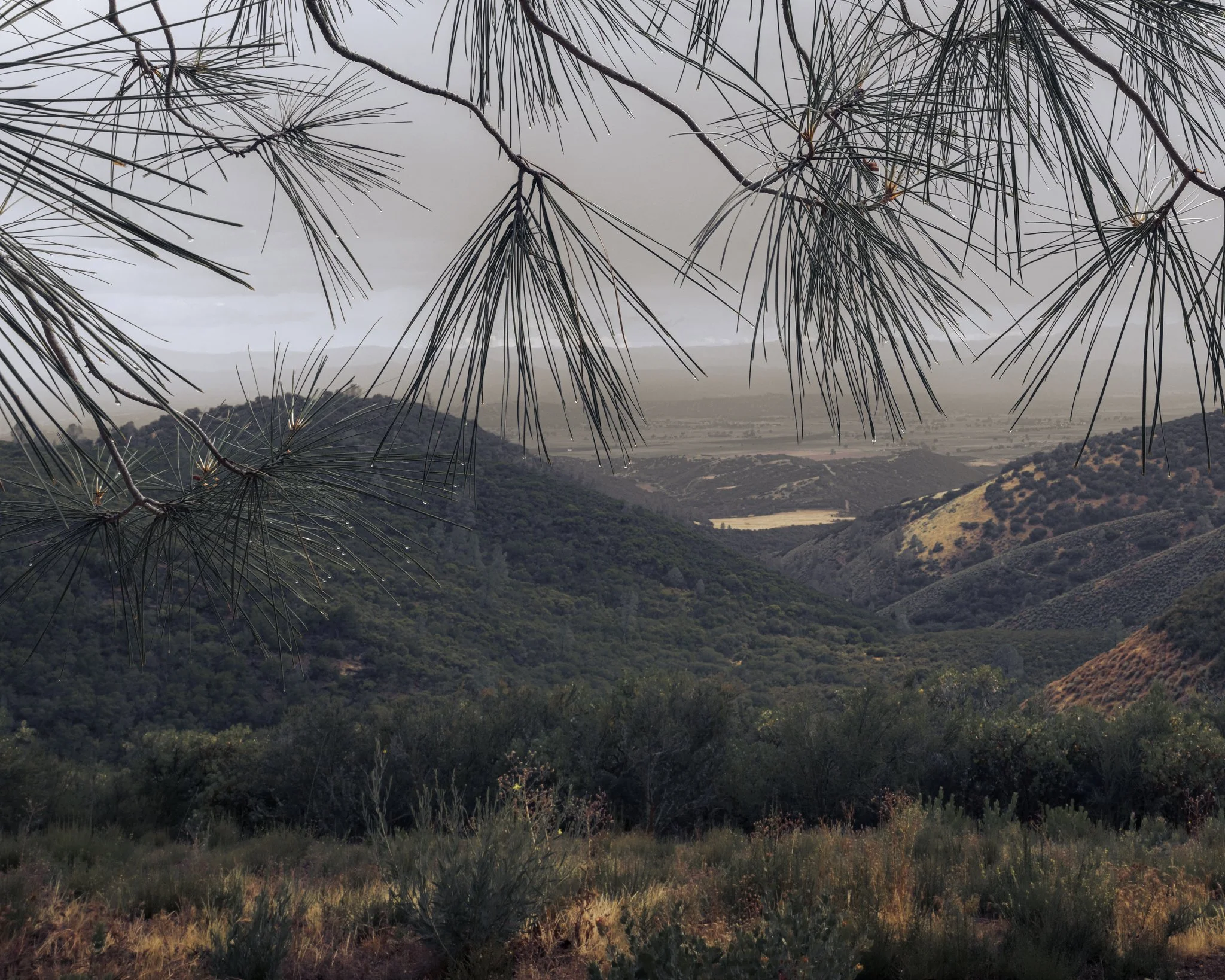 DSCF1739.jpg