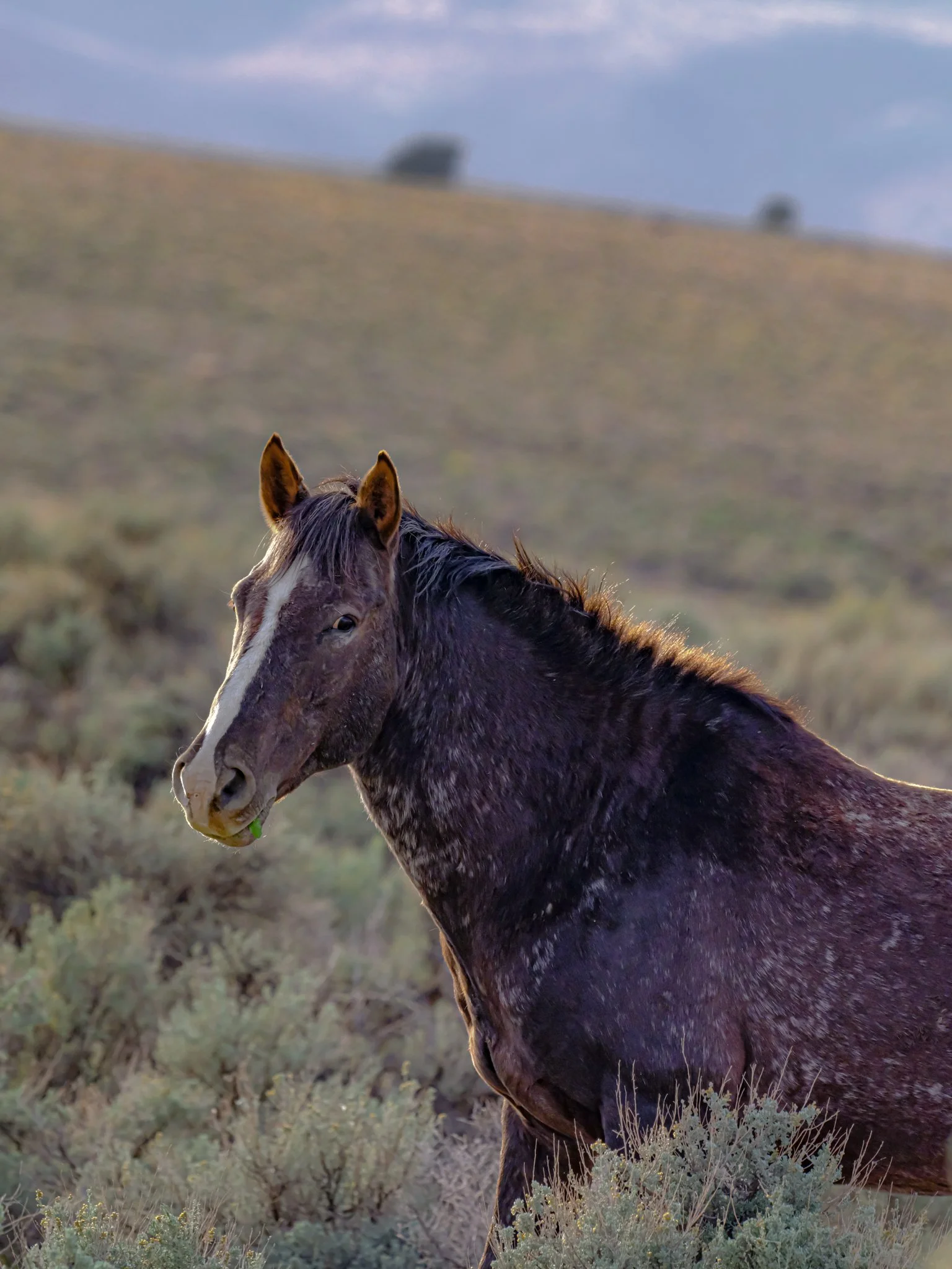 DSCF2916.jpg