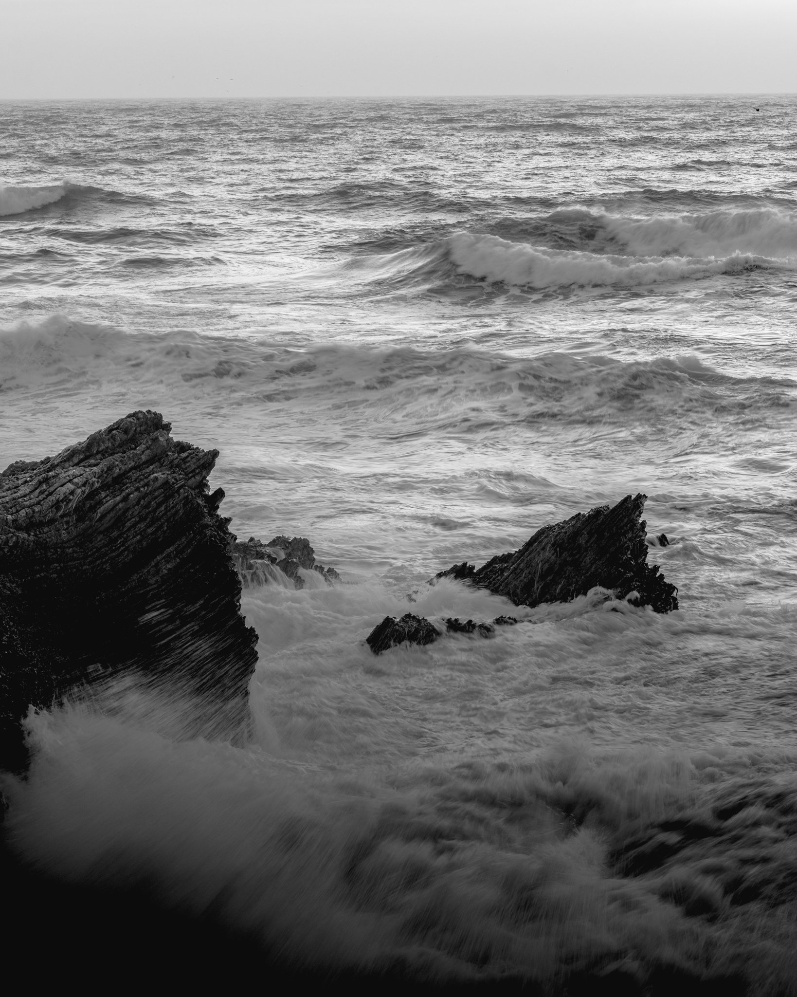 DSCF2463.jpg