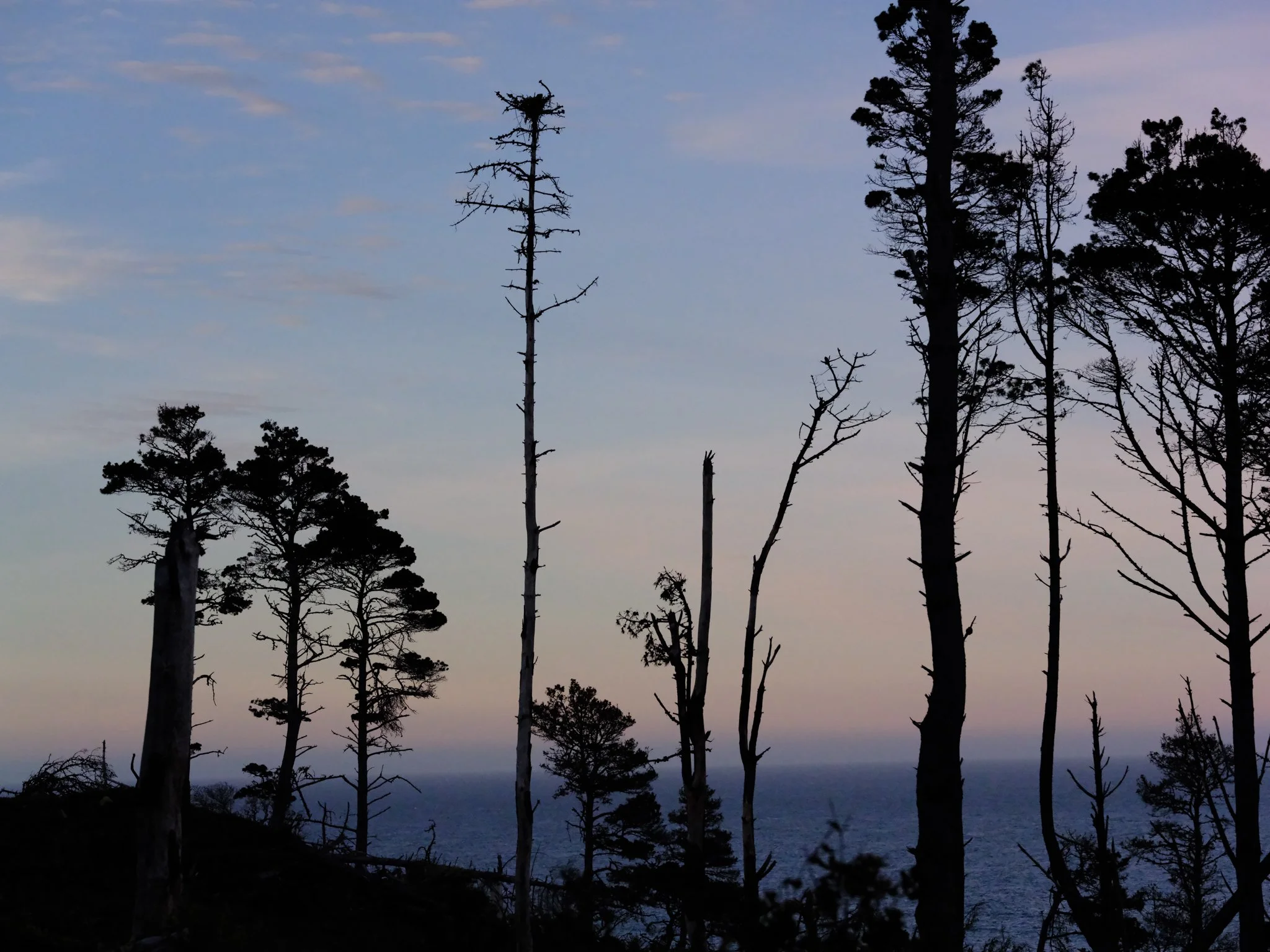DSCF3769.jpg