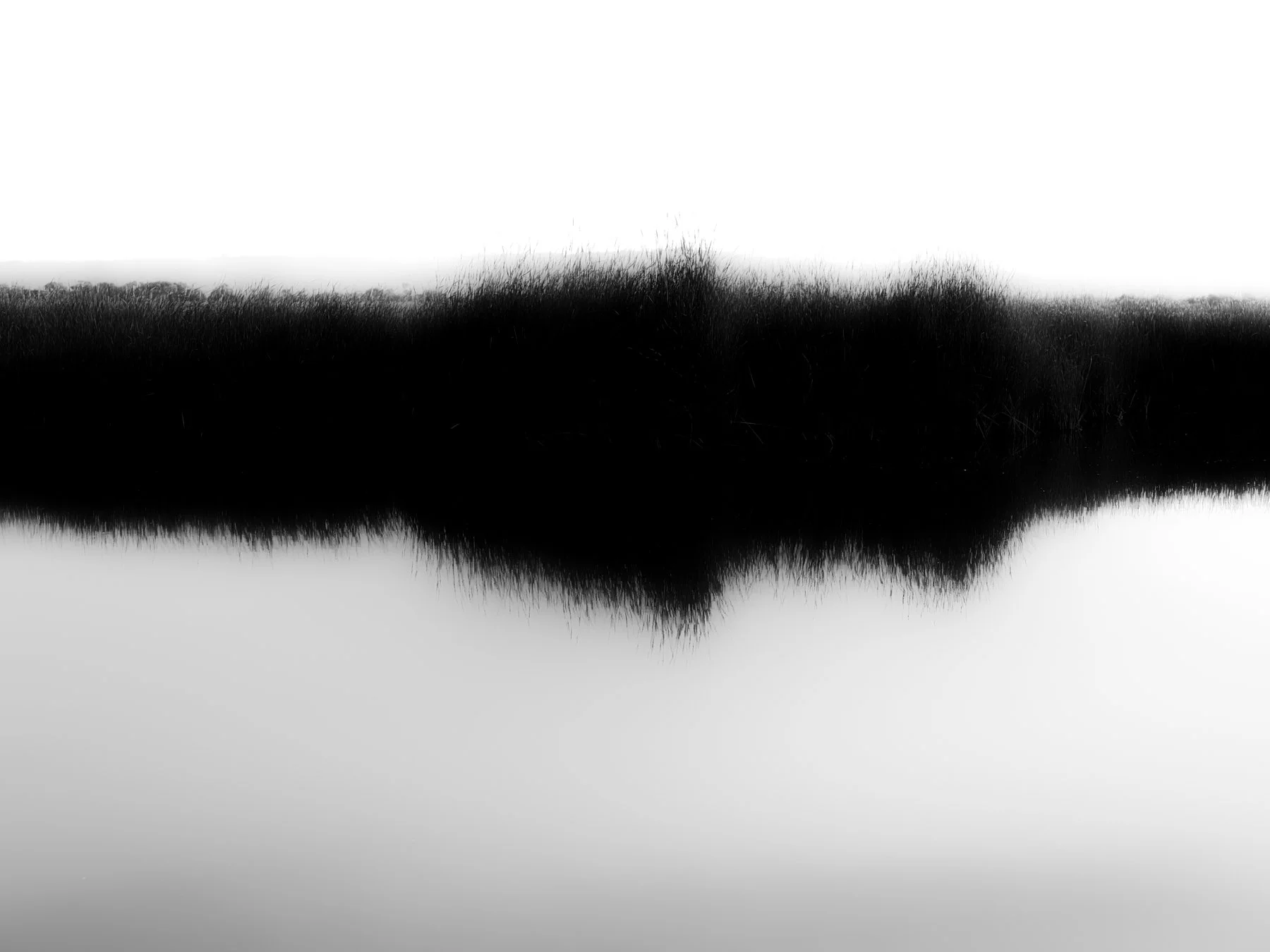 DSCF7708.jpg
