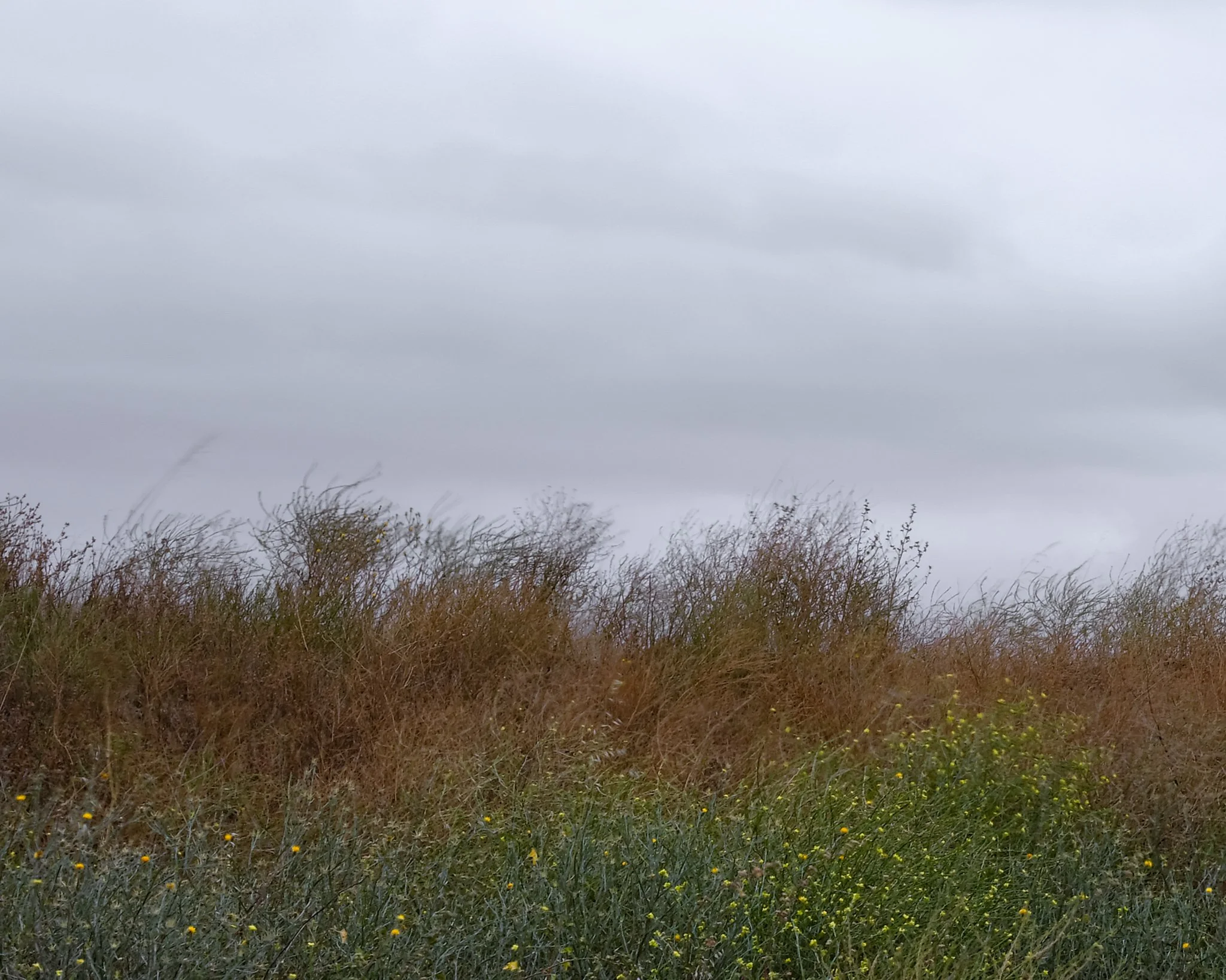 DSCF1193.jpg