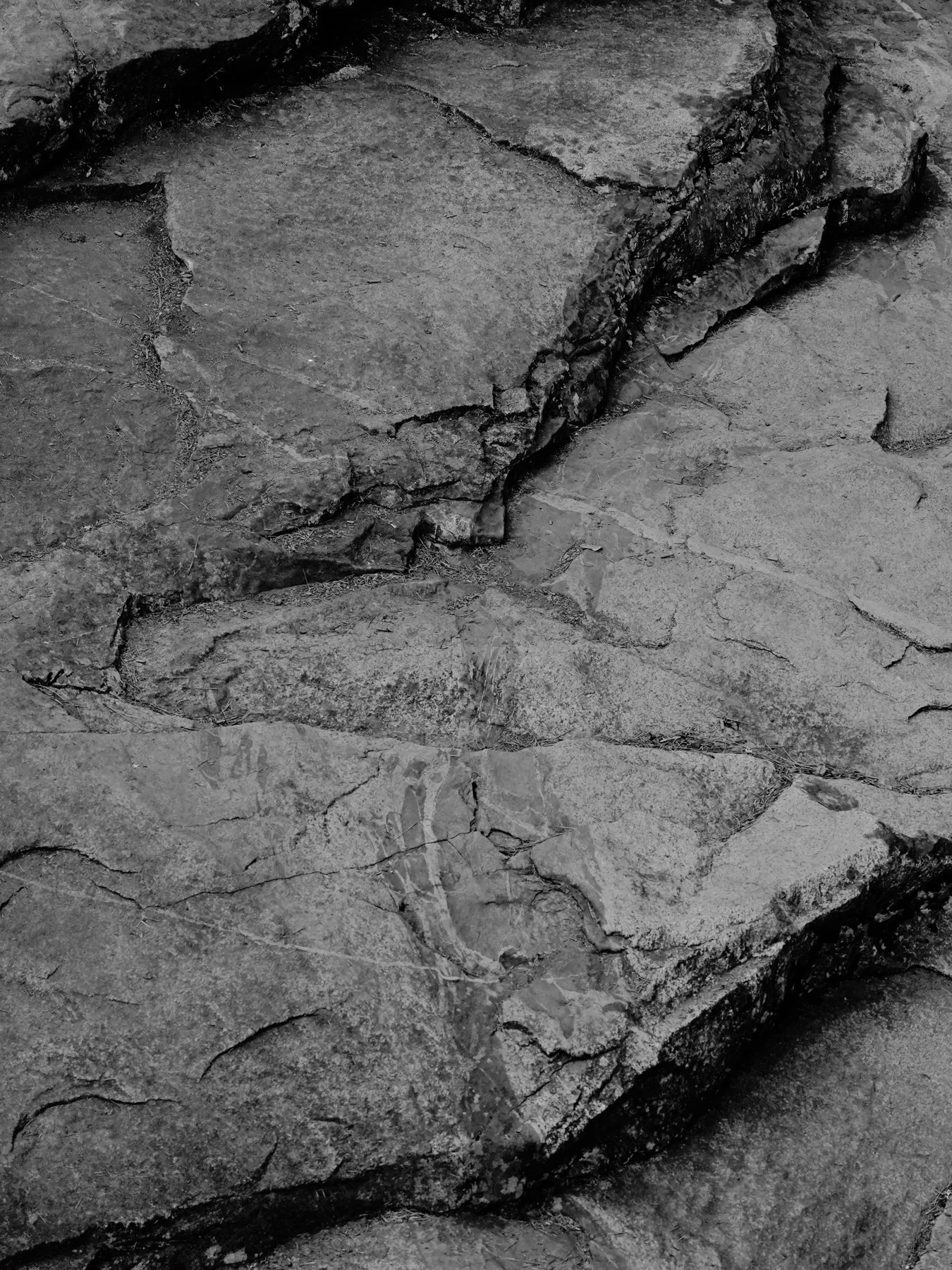 Derek in the RAW 3.23-8.jpg