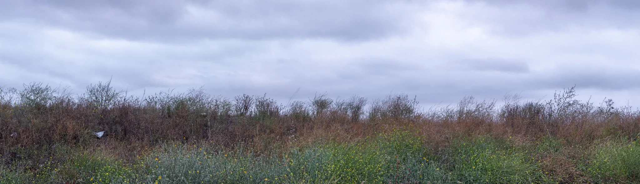 DSCF1196.jpg
