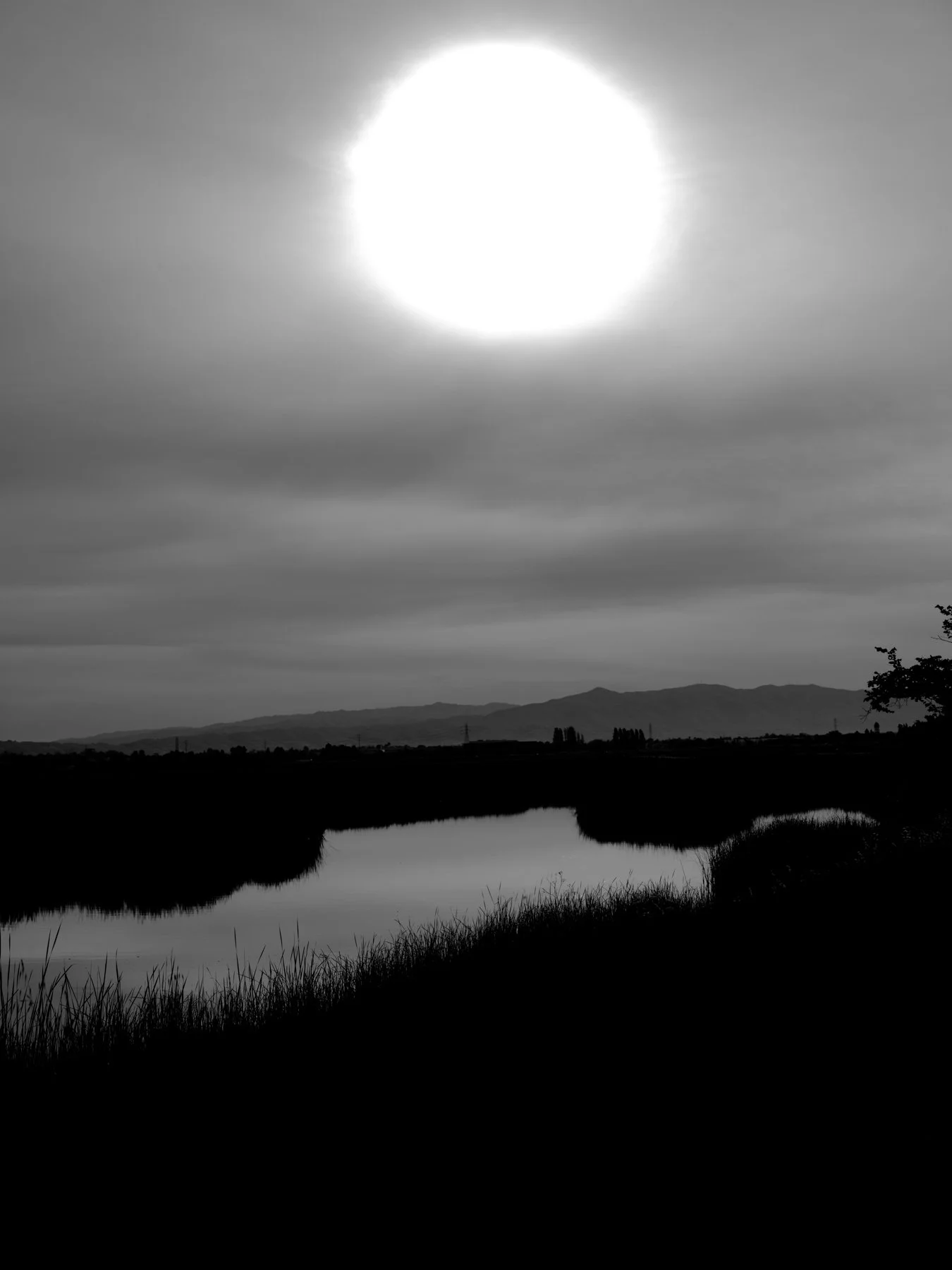 DSCF7723.jpg