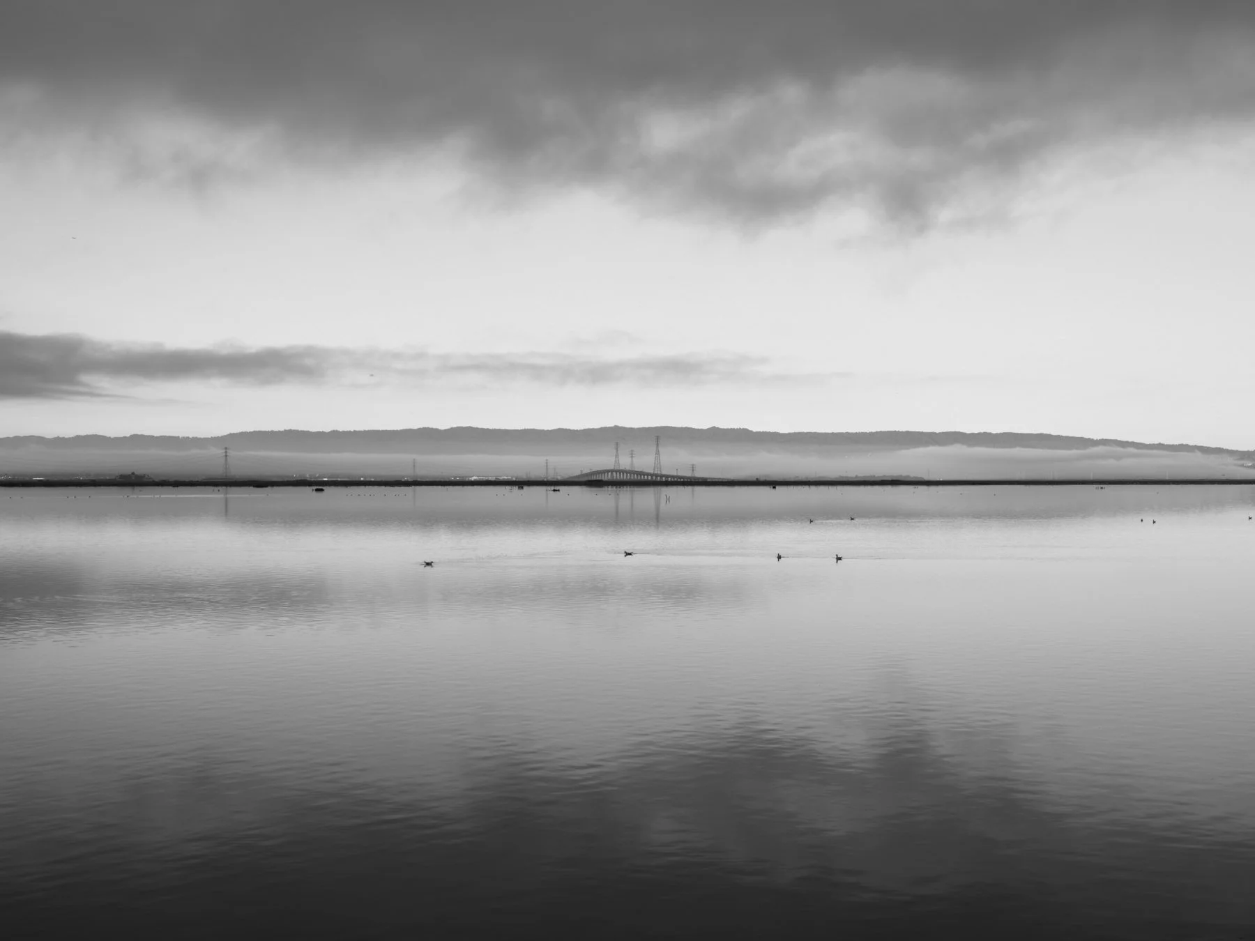 DSCF4945.jpg
