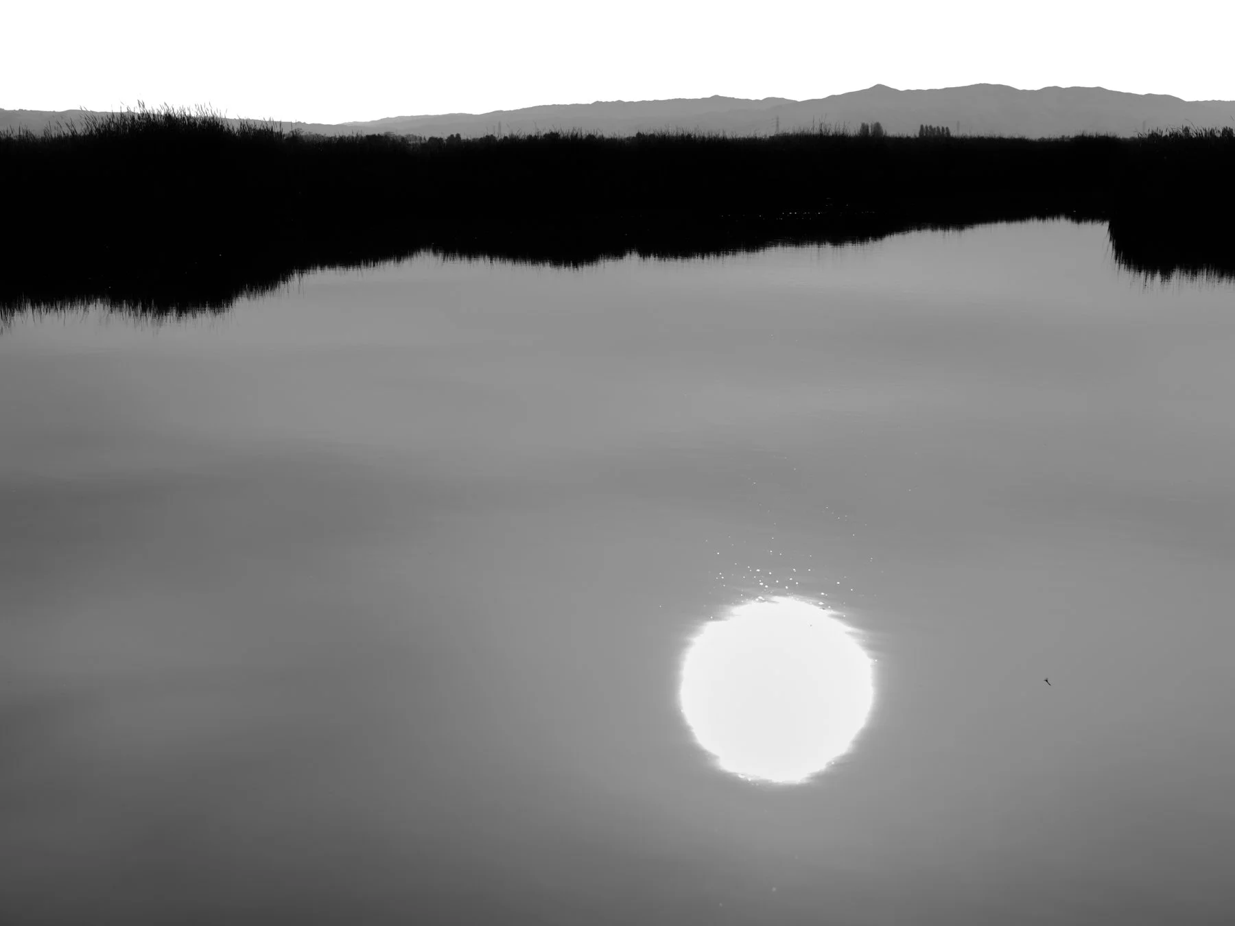 DSCF7709.jpg