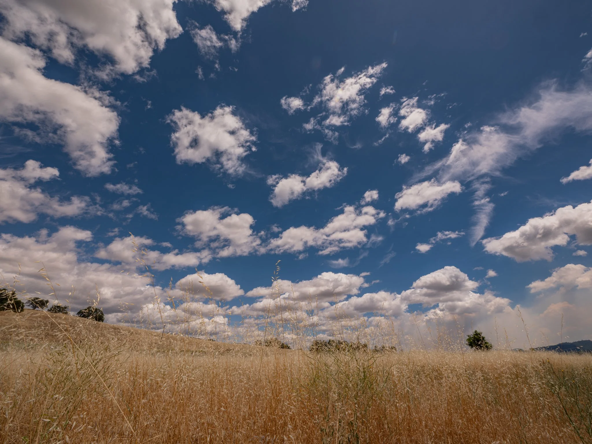 DSCF1538.jpg
