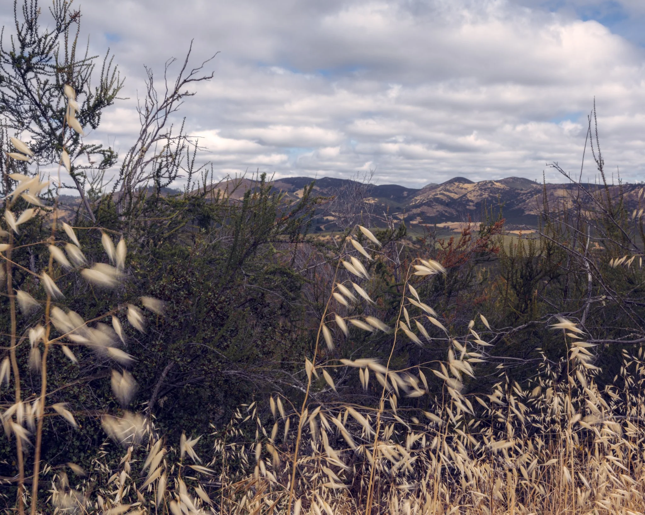 DSCF1349-Edit-2.jpg