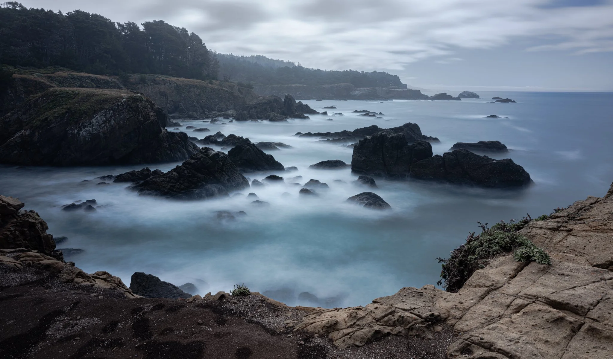 Misty Sonoma - California Coast