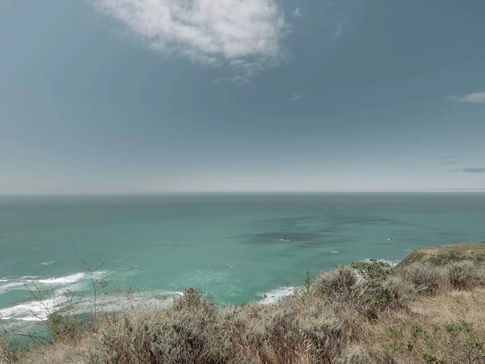 DSCF4106.jpg